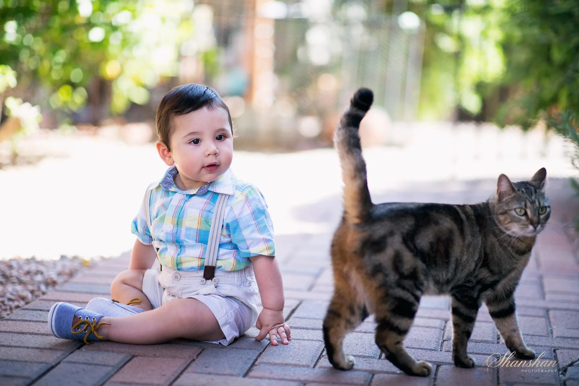 A young boy with dark hair, wearing a light-colored plaid shirt and beige shorts, sitting on a brick pathway outdoors with a tabby cat walking past him. The background features green trees and blurred sunlight.