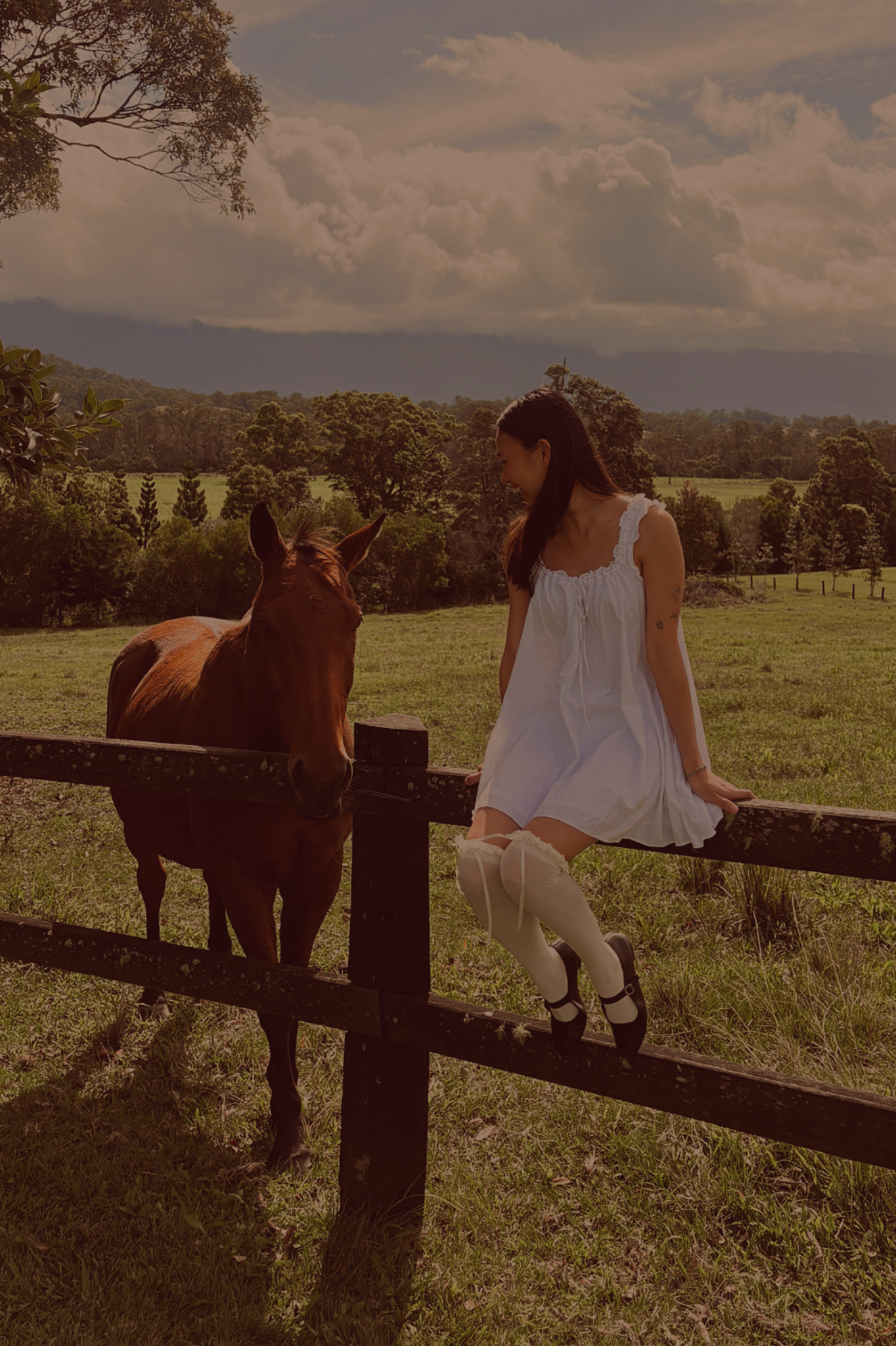 the-archive-creative-colour-graded-sher-horse.png