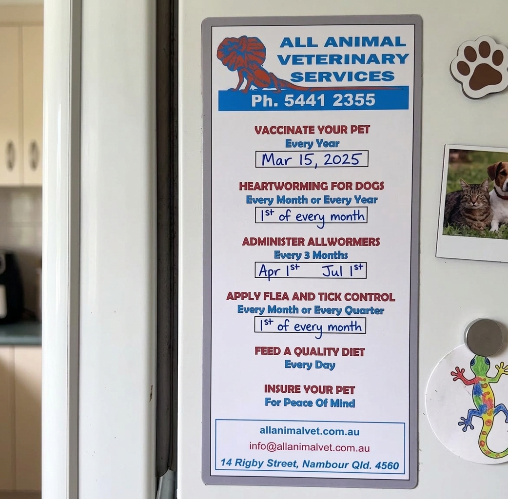 Magnet - All Animal Veterinary Services