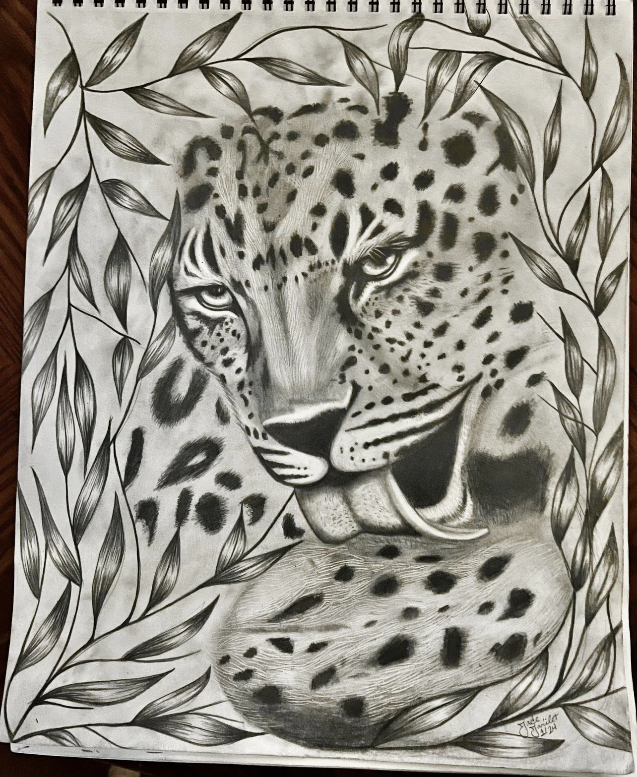Leopard Drawing