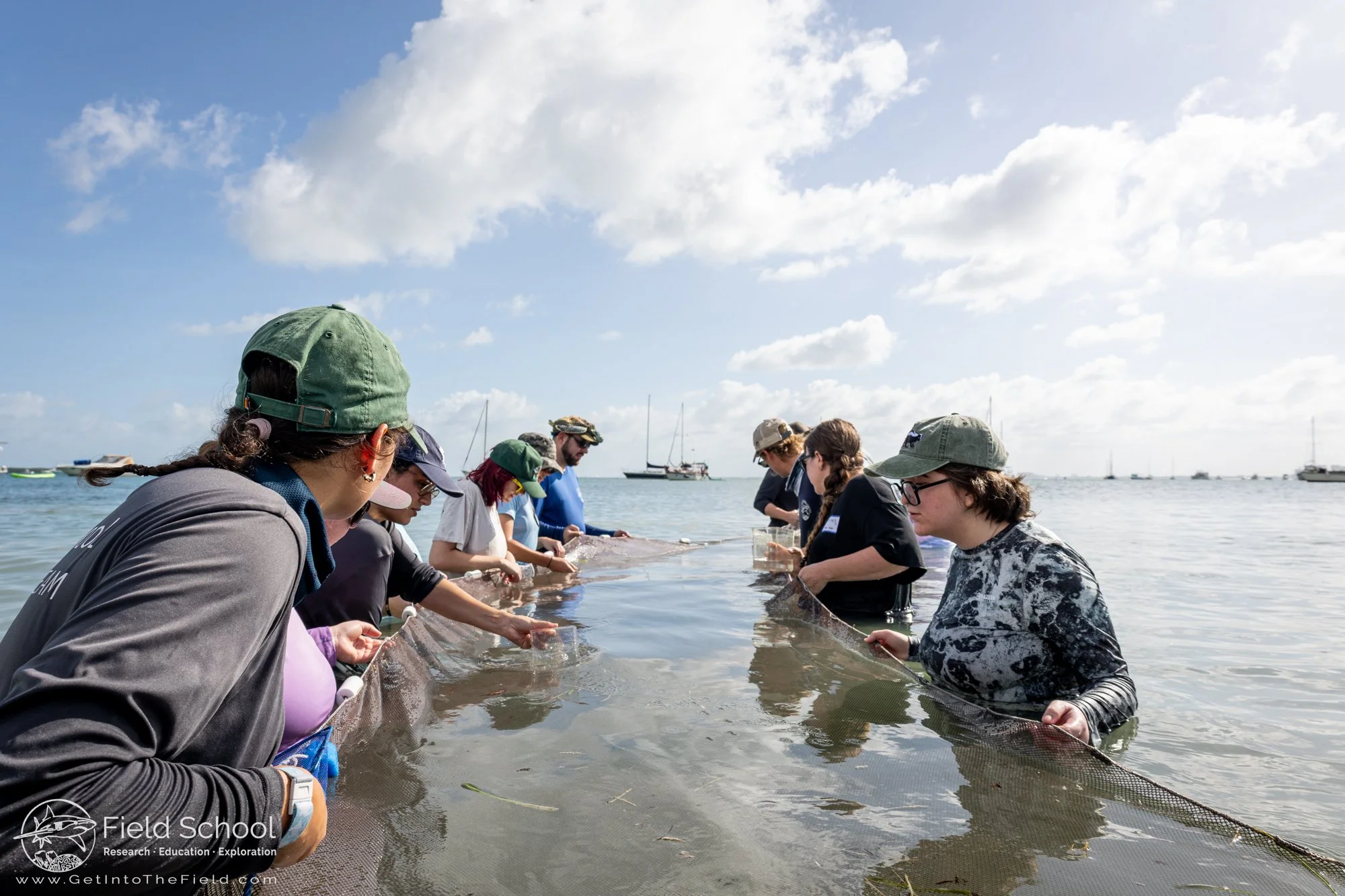 Emporia State University searching for marine critters during seine netting