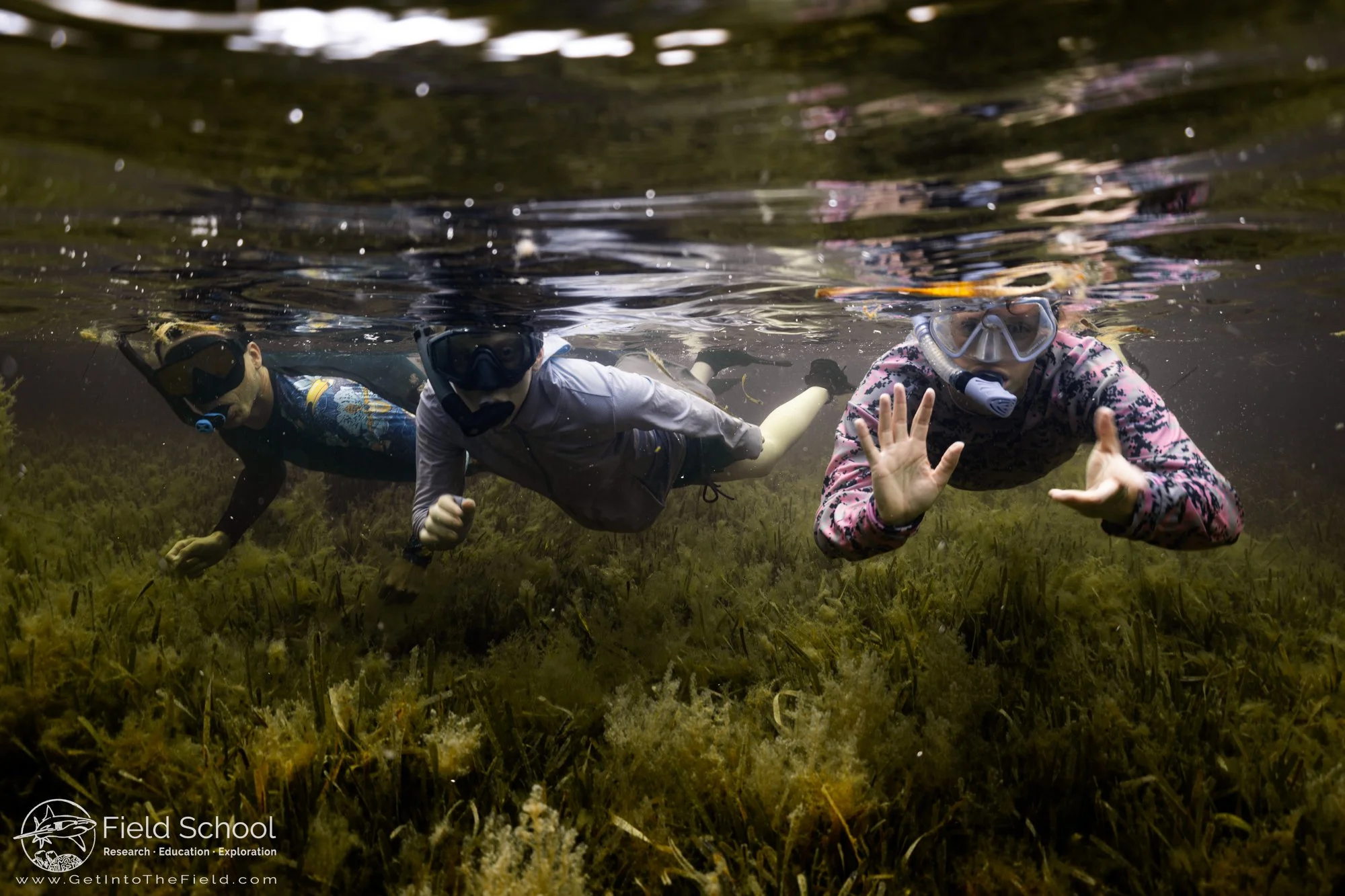 Emporia State University students during a mangrove snorkel