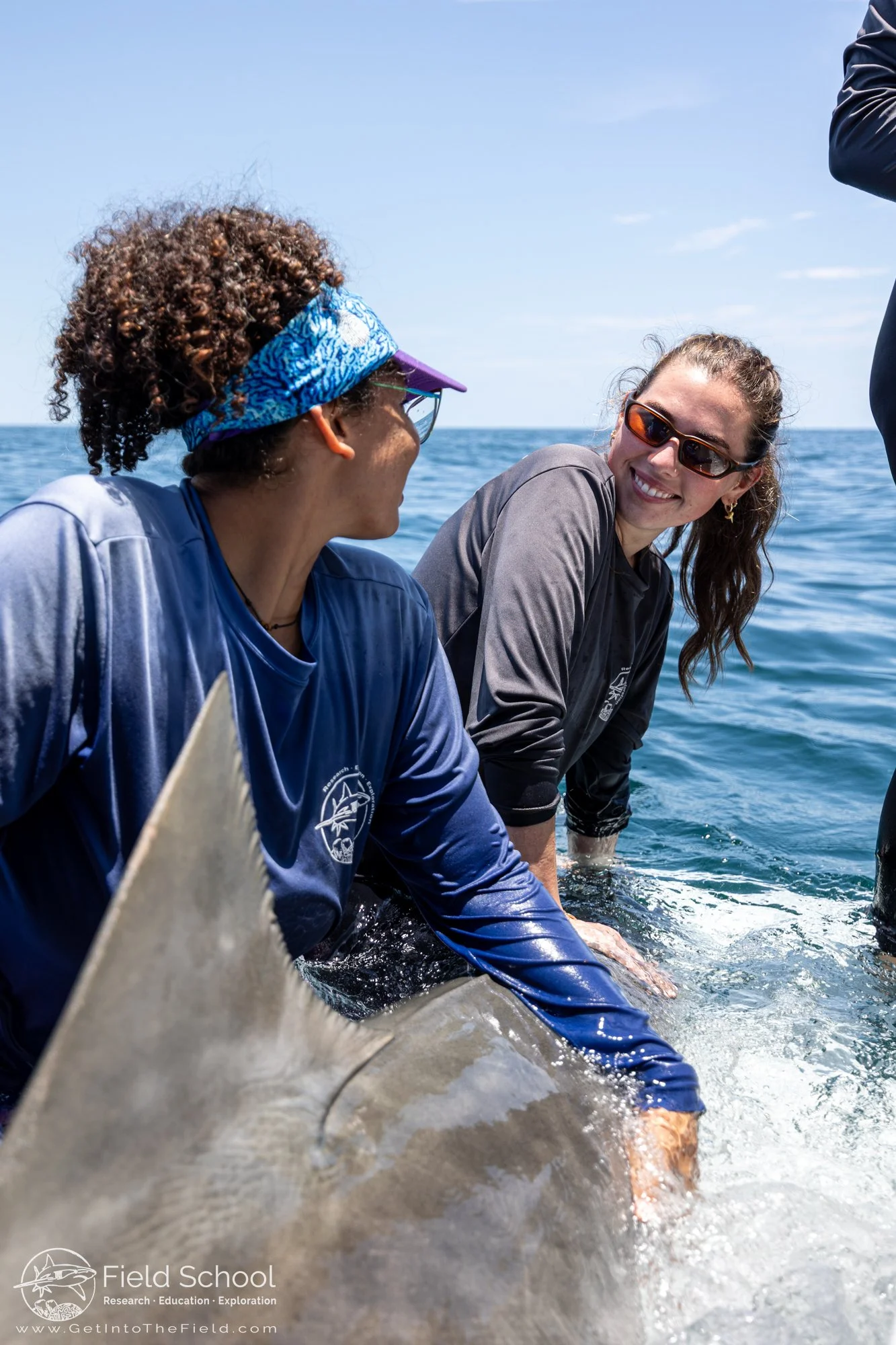 PhD student Kariza Acosta and MPS student Maggie Hunt keep a tiger shark steady