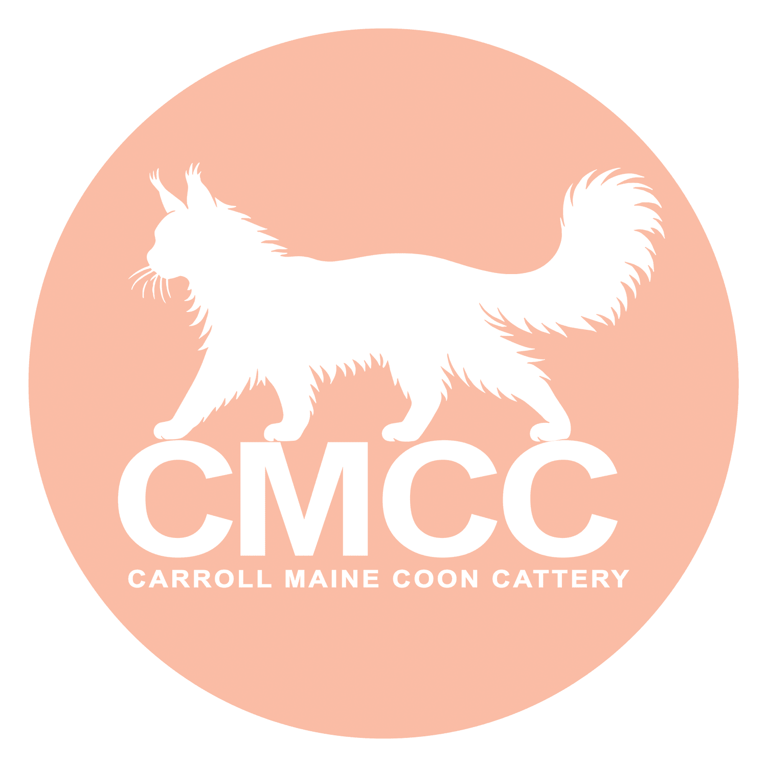Carroll Maine Coon Cattery
