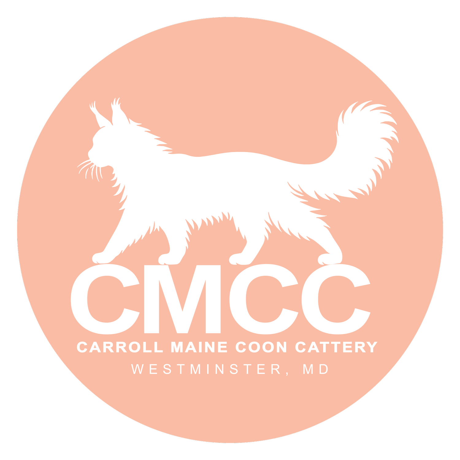 Carroll Maine Coon Cattery