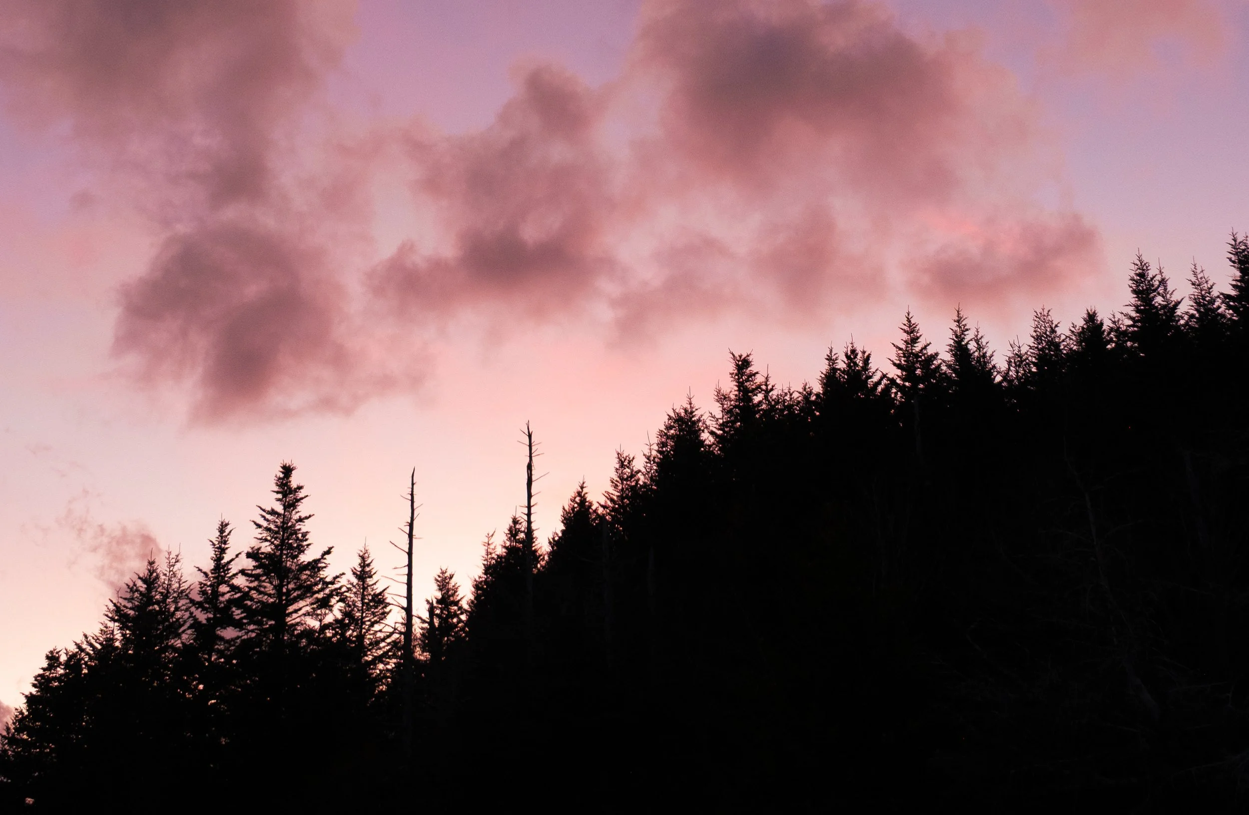 DSCF3342.jpg