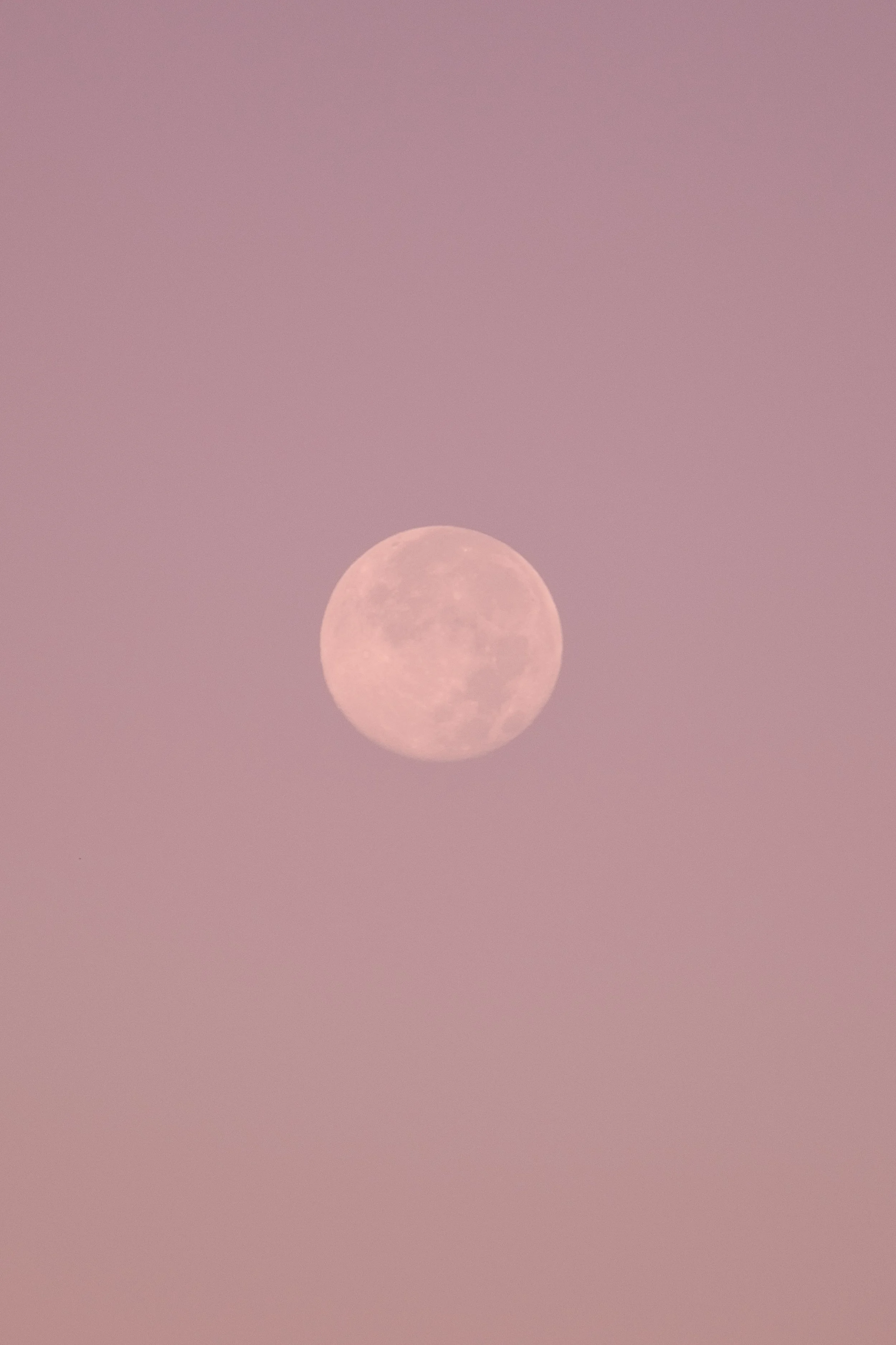 DSCF0279.jpg
