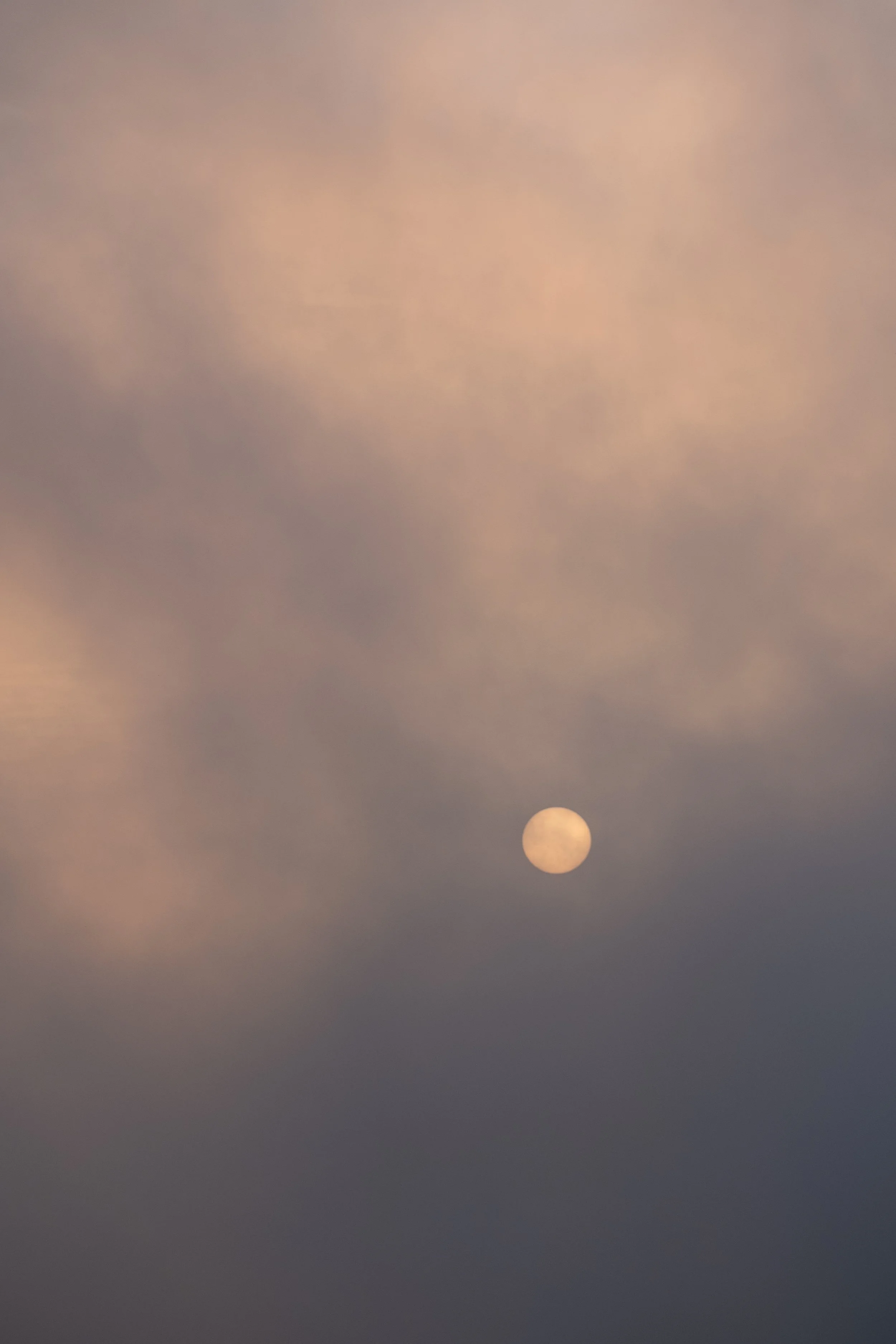 DSCF2538.jpg