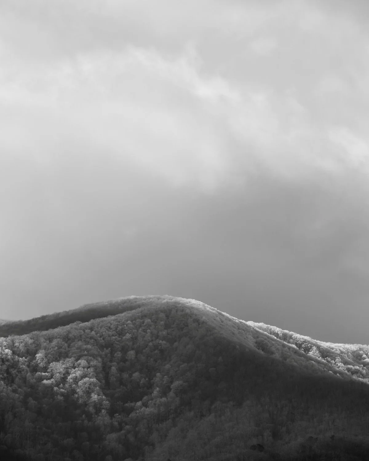less rushing. more noticing. more mountain air. more moments that actually feel like mine ☺️

#gratitude #justgoshoot #springsnow #slowliving #swellandsky