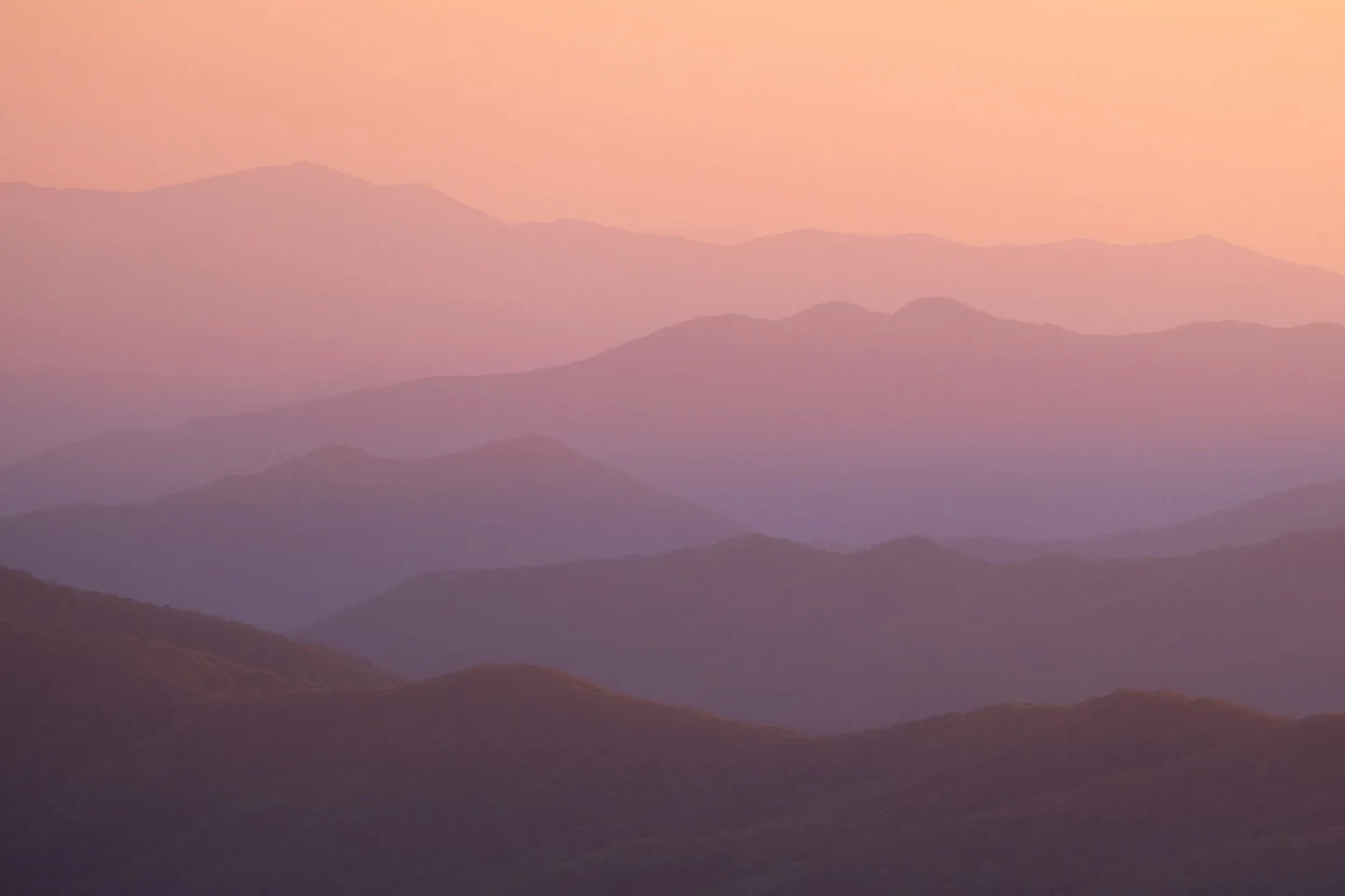 lately i&rsquo;ve been choosing a slower pace
and everything feels different because of it

more space, more clarity, more of the things that actually matter