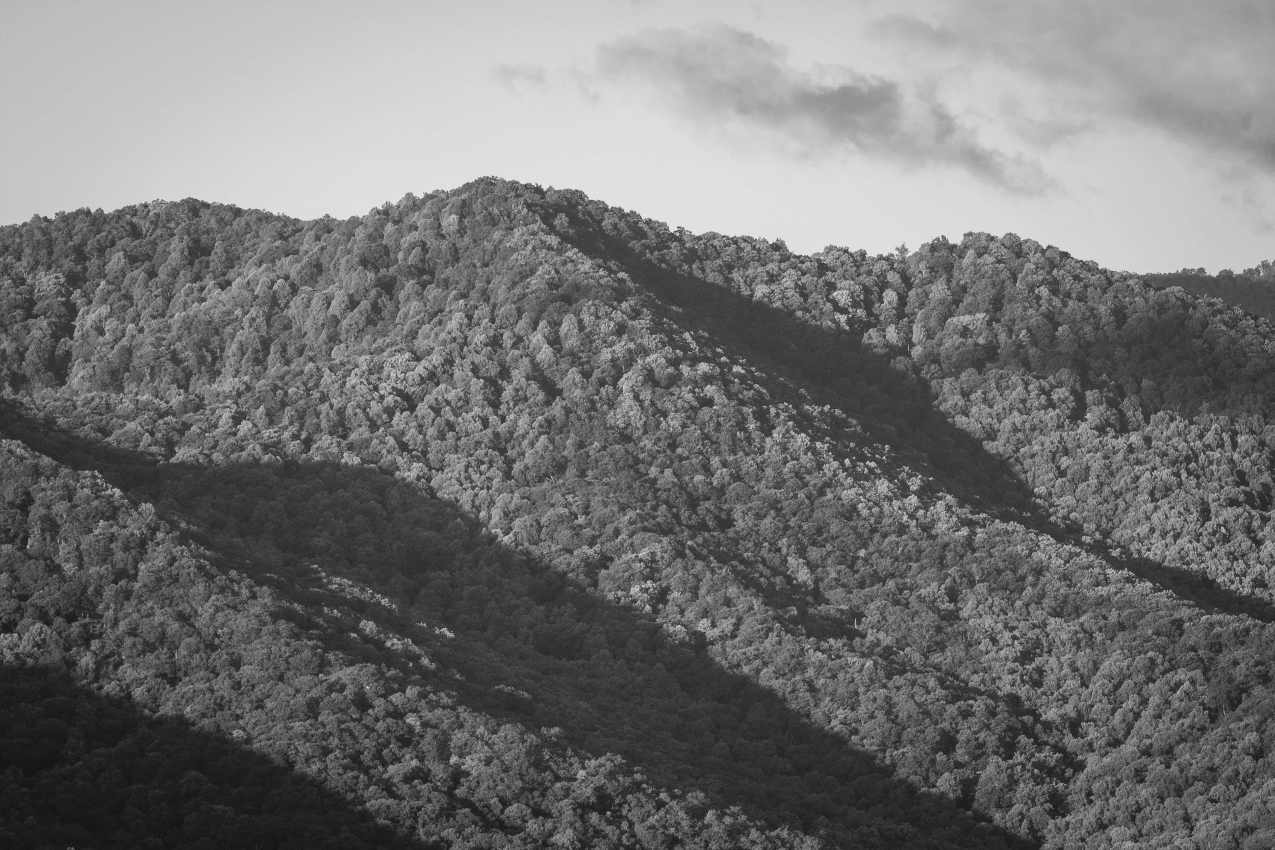 DSCF1583.jpg