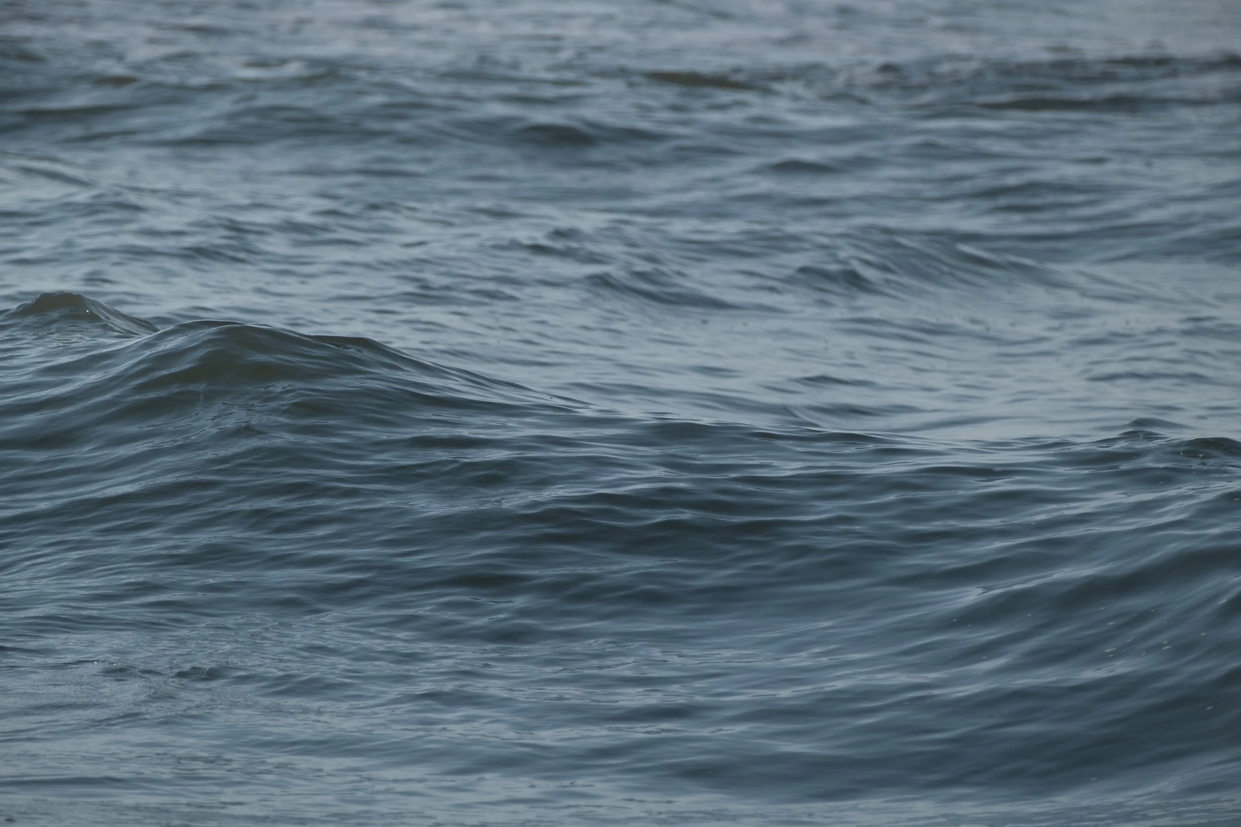DSCF3261.jpg
