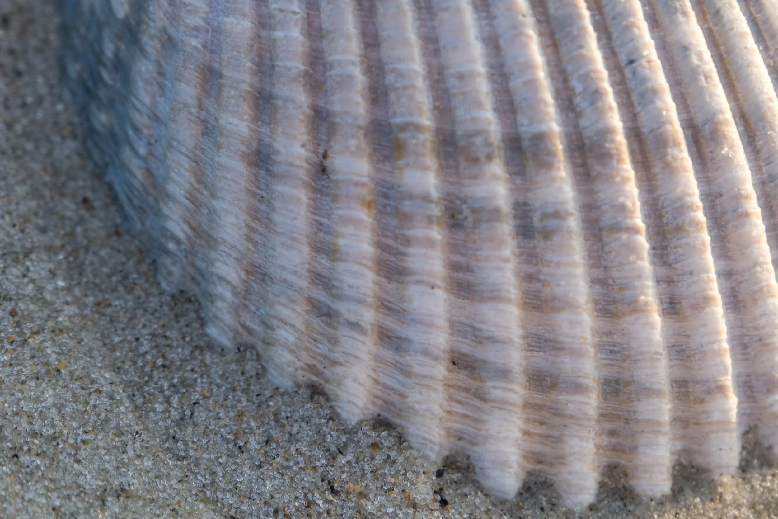 DSCF2832.jpg