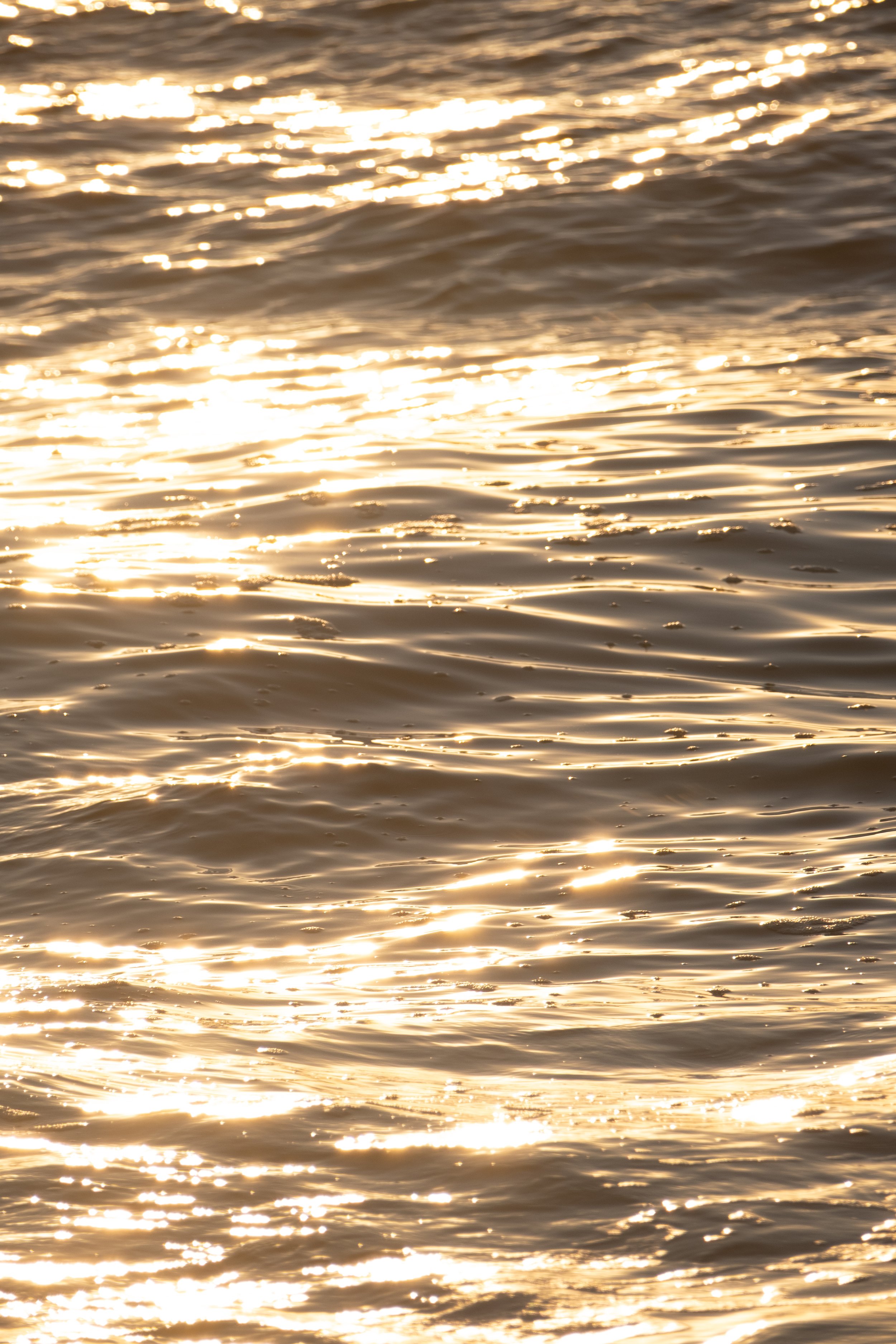 golden-ocean-water-sparkles-vertical.jpg