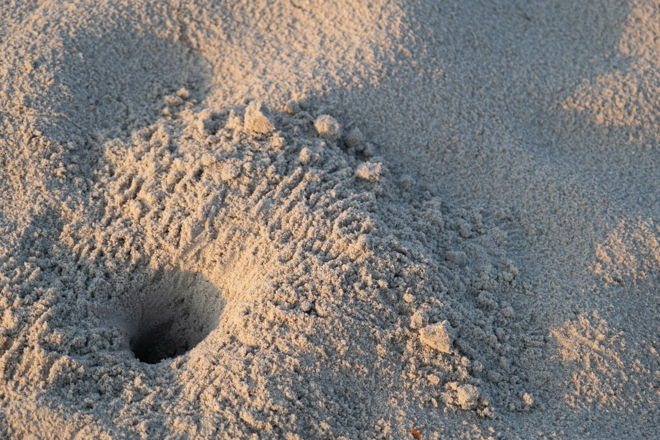 DSCF2554.jpg