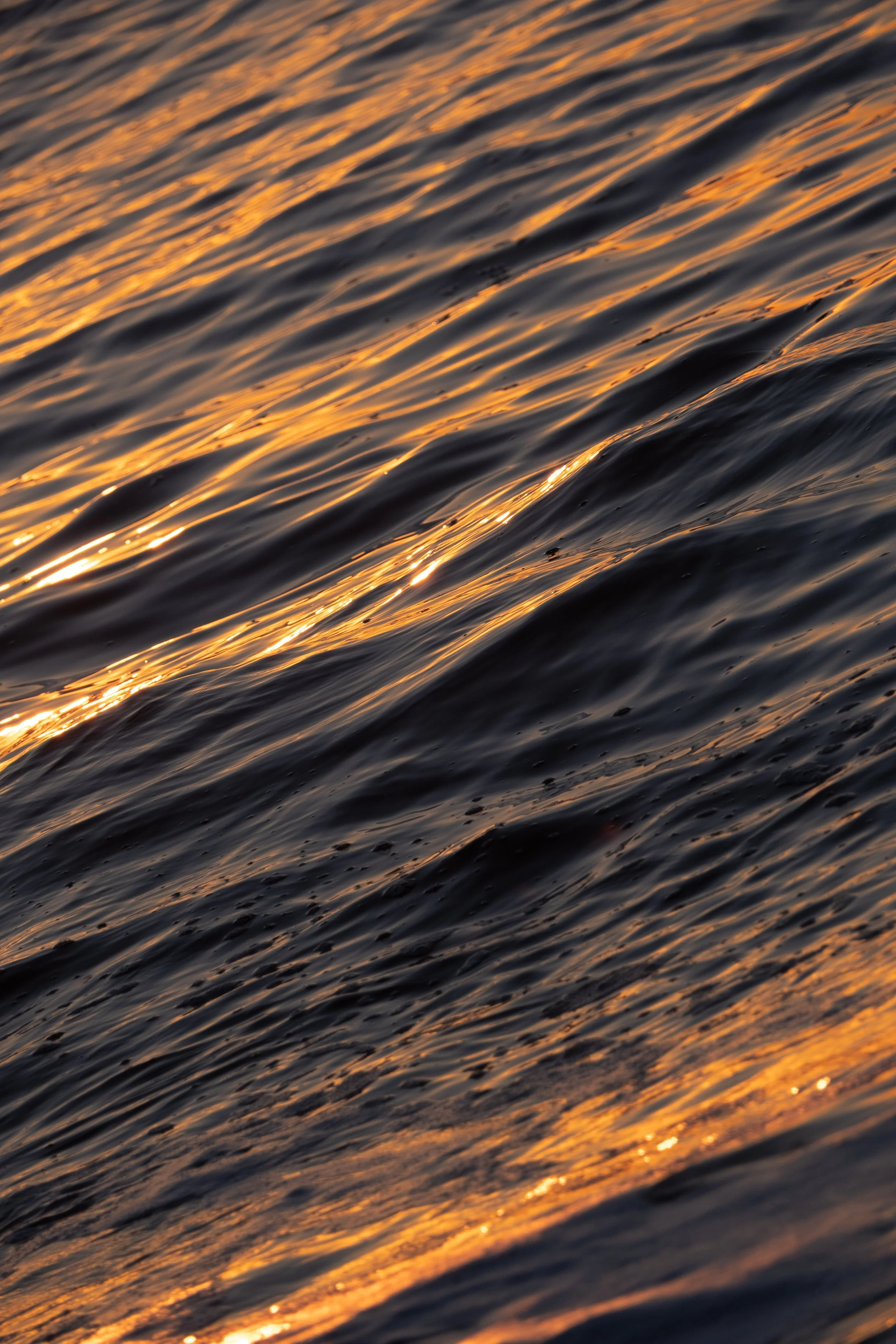DSCF0790.jpg