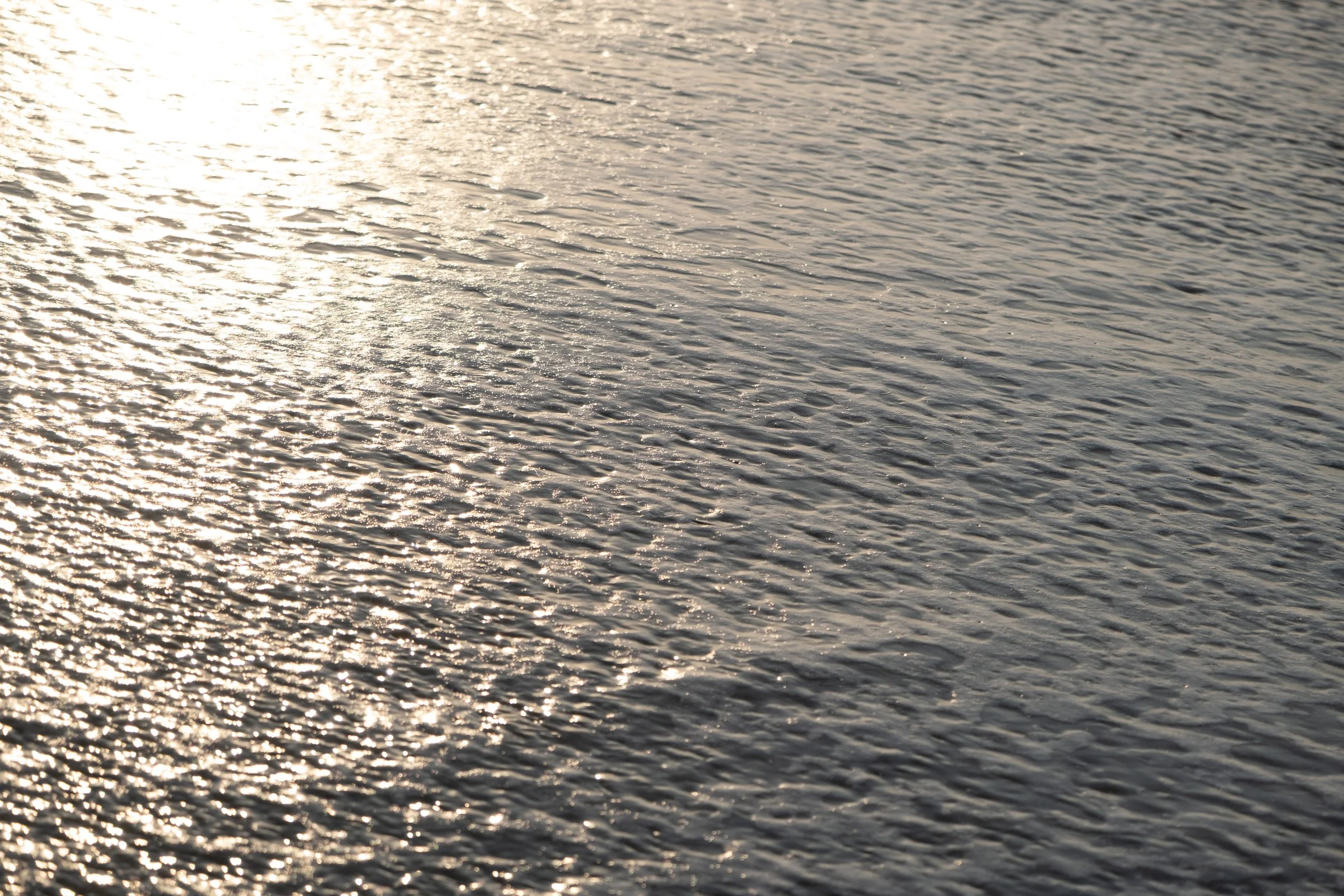 DSCF2725.jpg