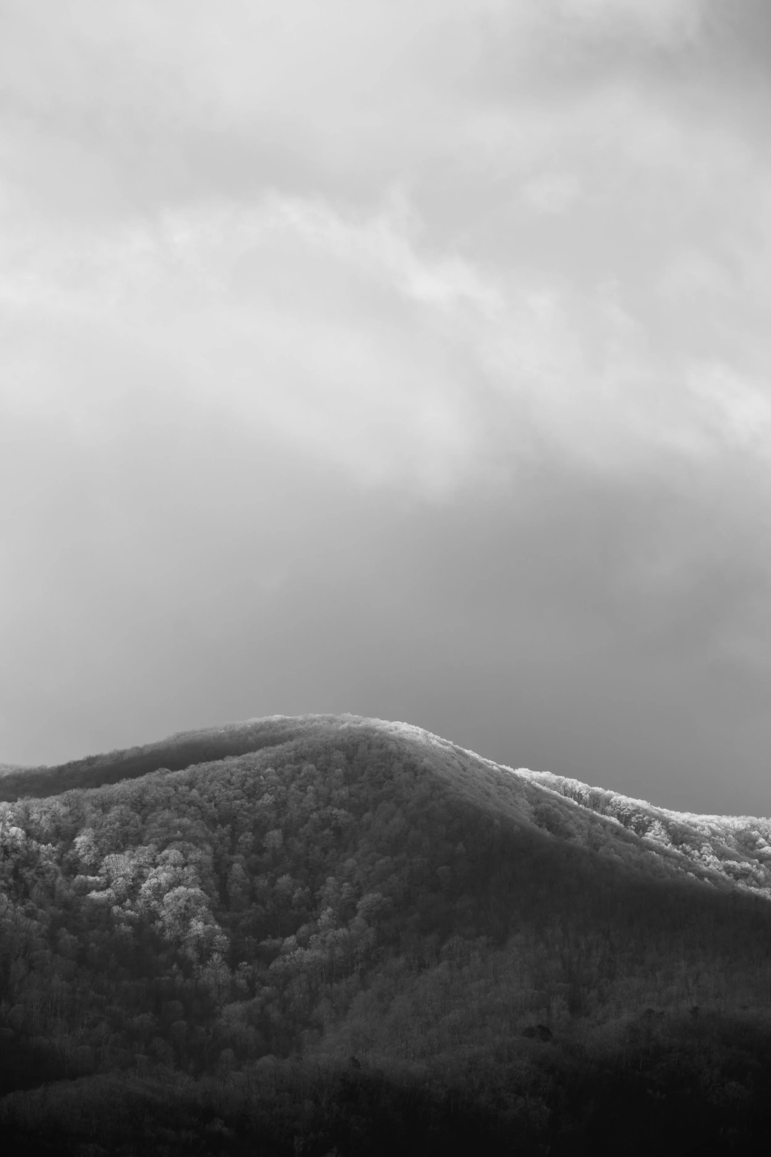 DSCF0031.jpg