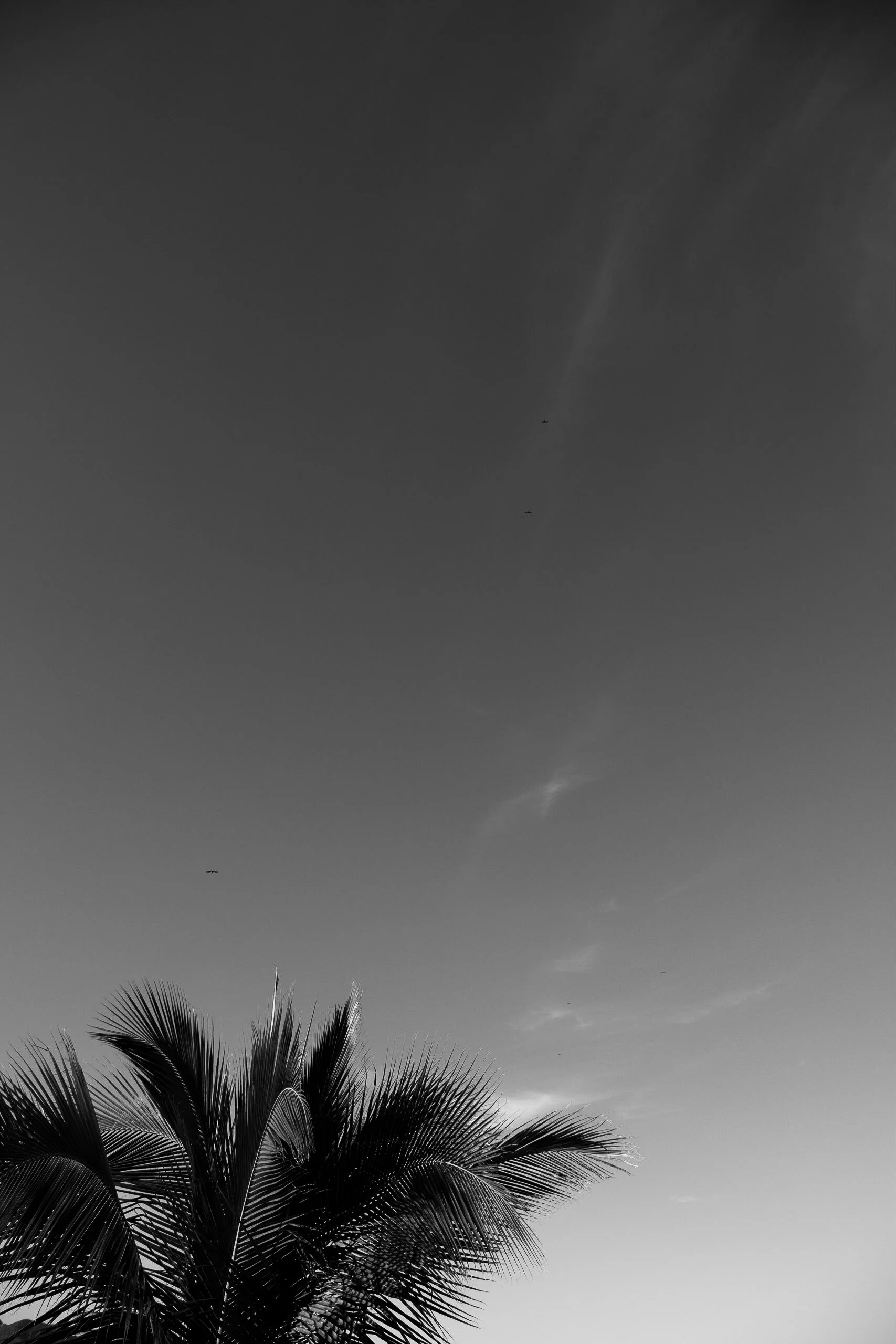 20190115 03.34.46.jpg