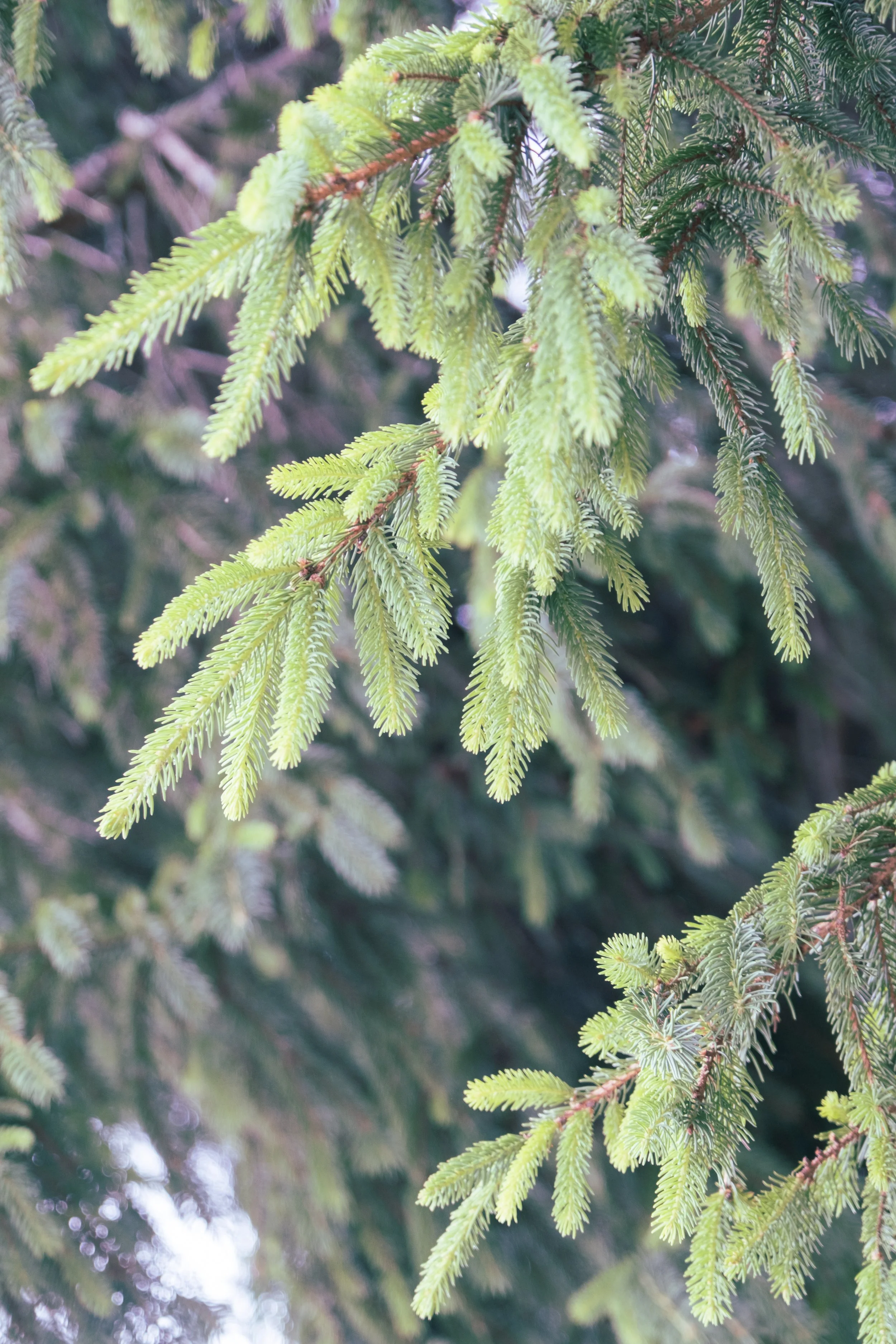 DSCF3621.jpg