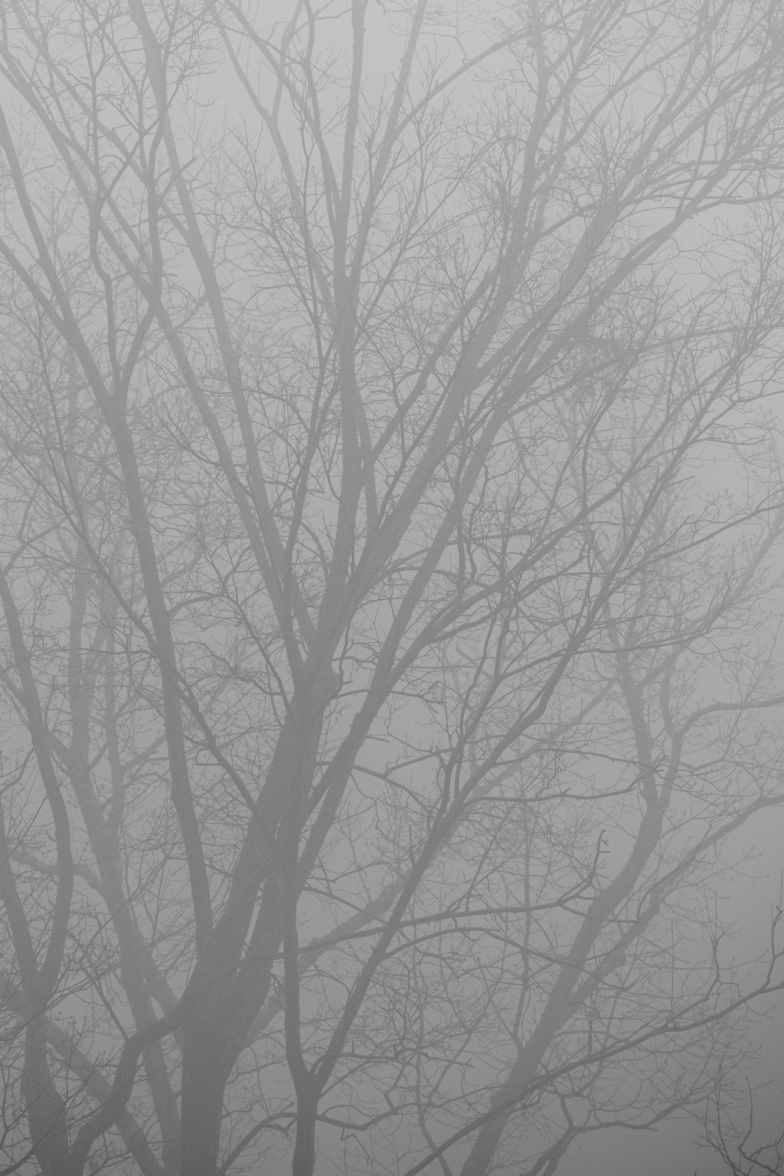 DSCF0292.jpg