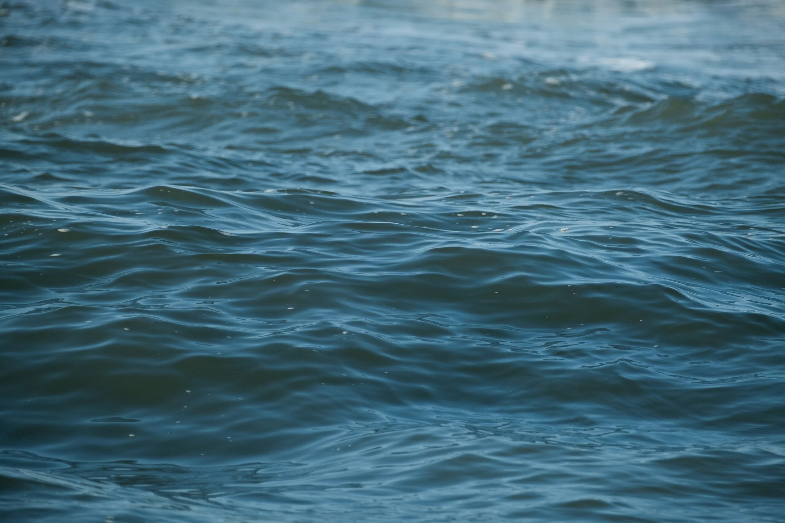 DSCF3106.jpg