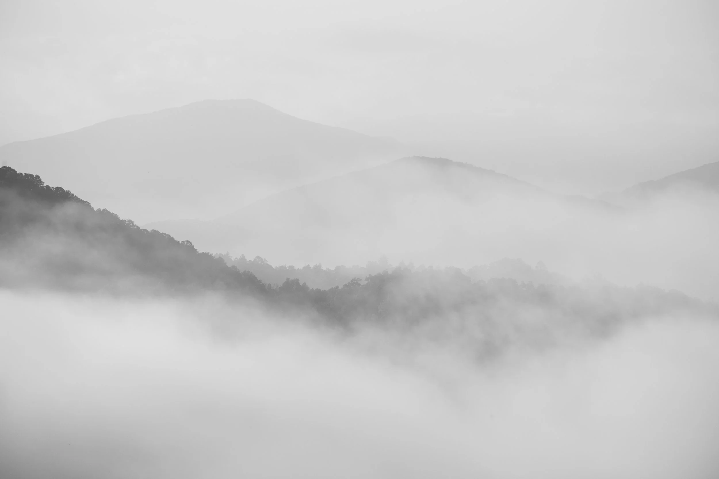 DSCF4667.jpg