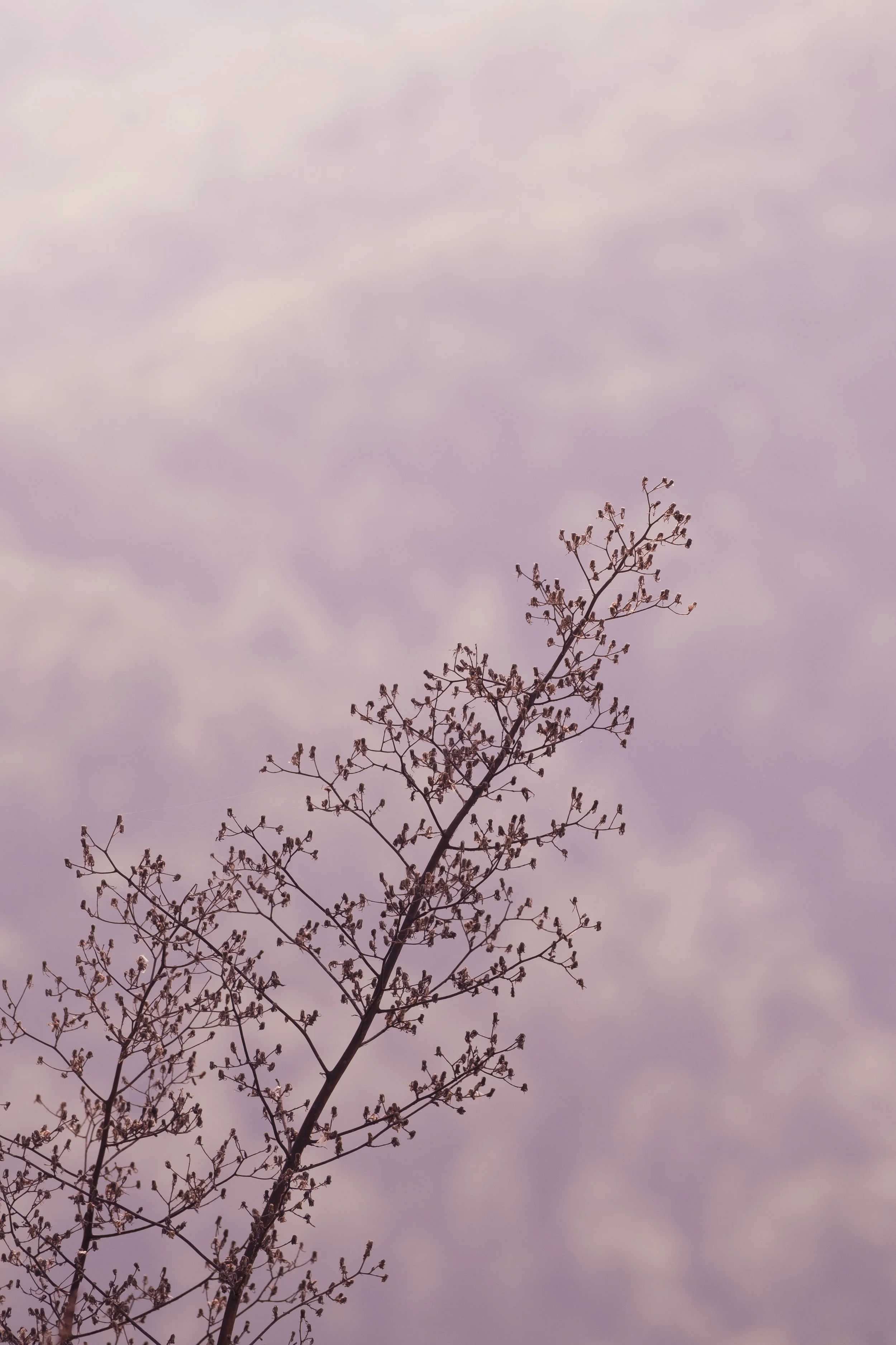 DSCF5310.jpg