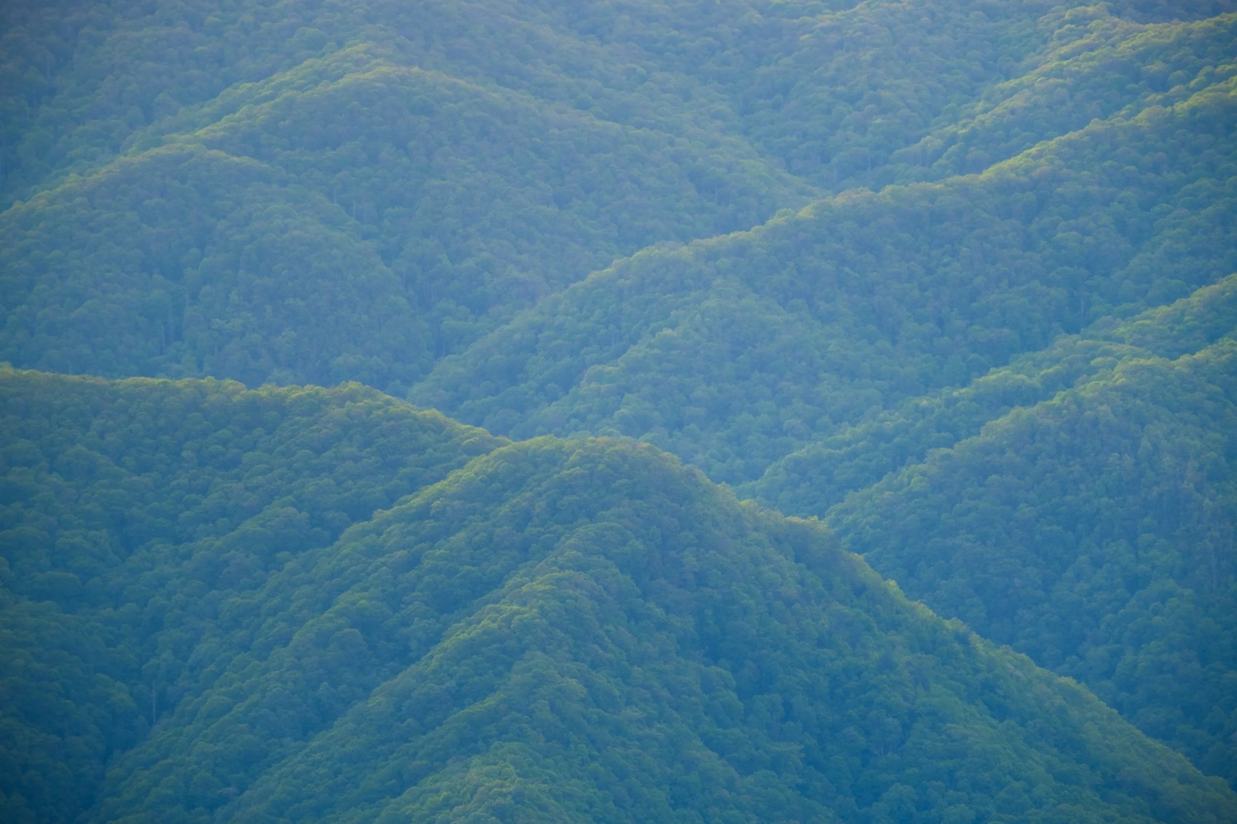 DSCF3501.jpg
