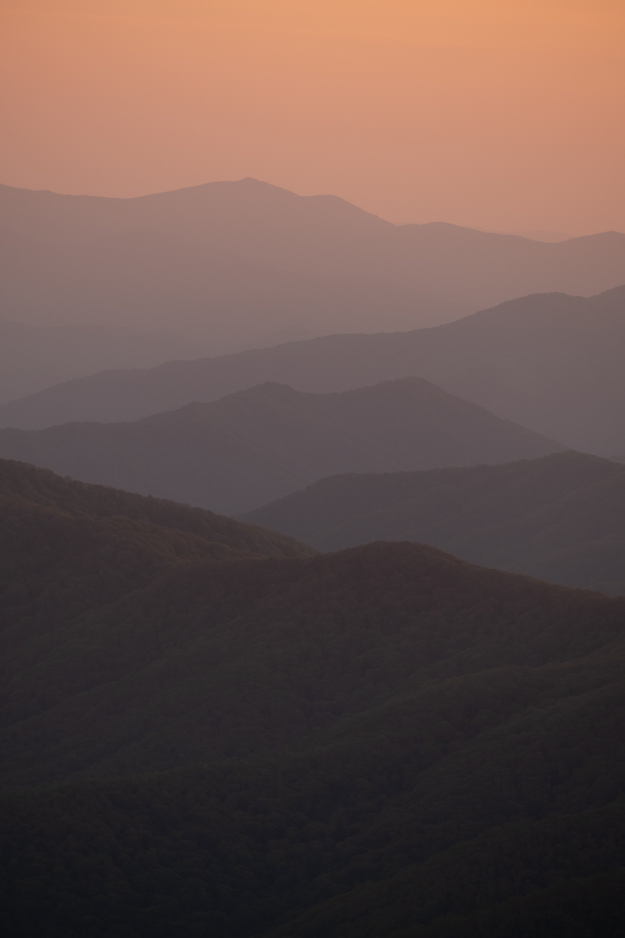 DSCF3258.jpg