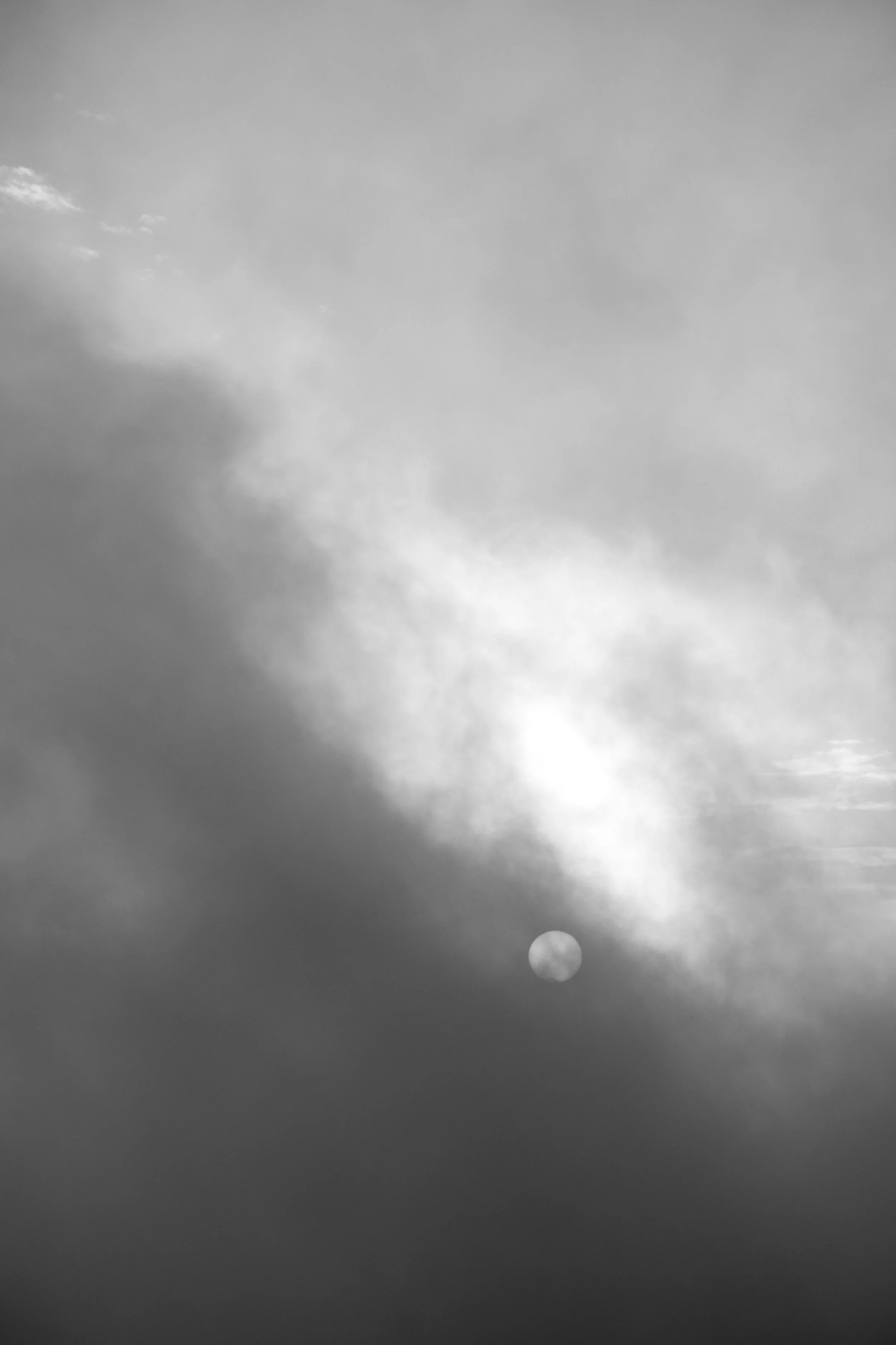 DSCF2547.jpg