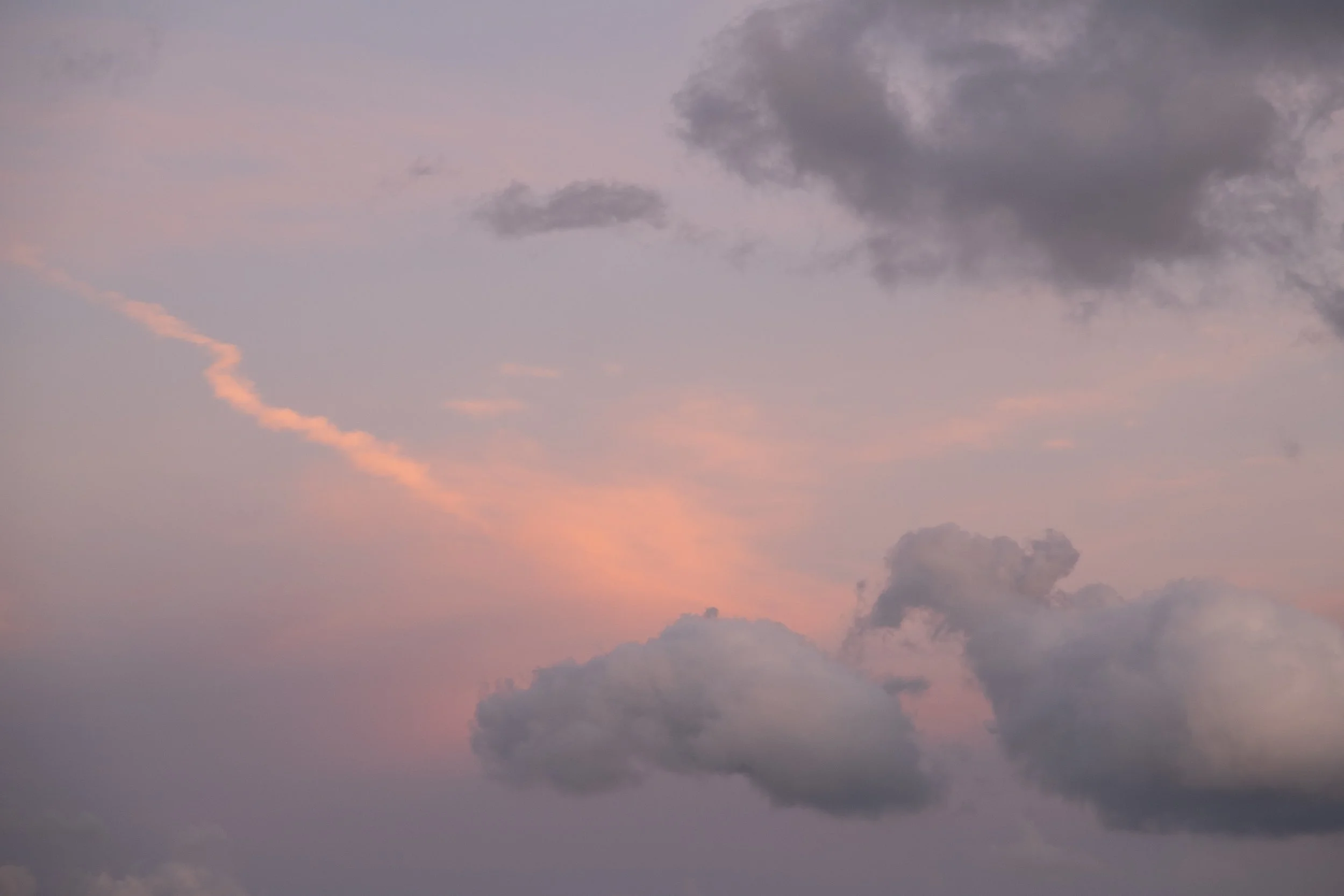 DSCF3298.jpg
