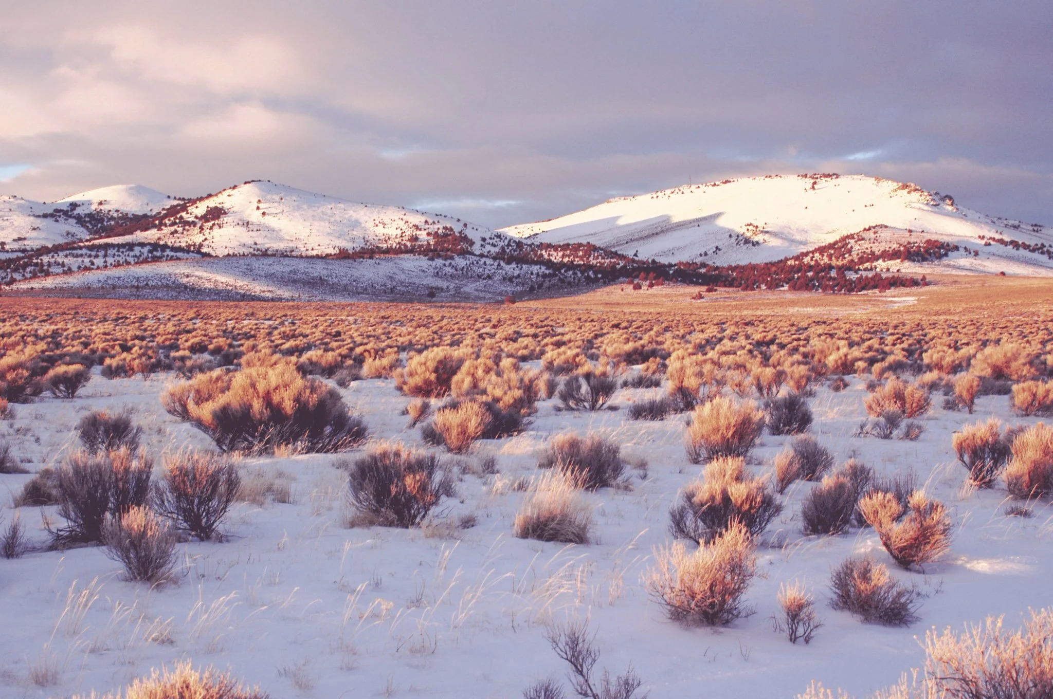 First Light on Sage – 72