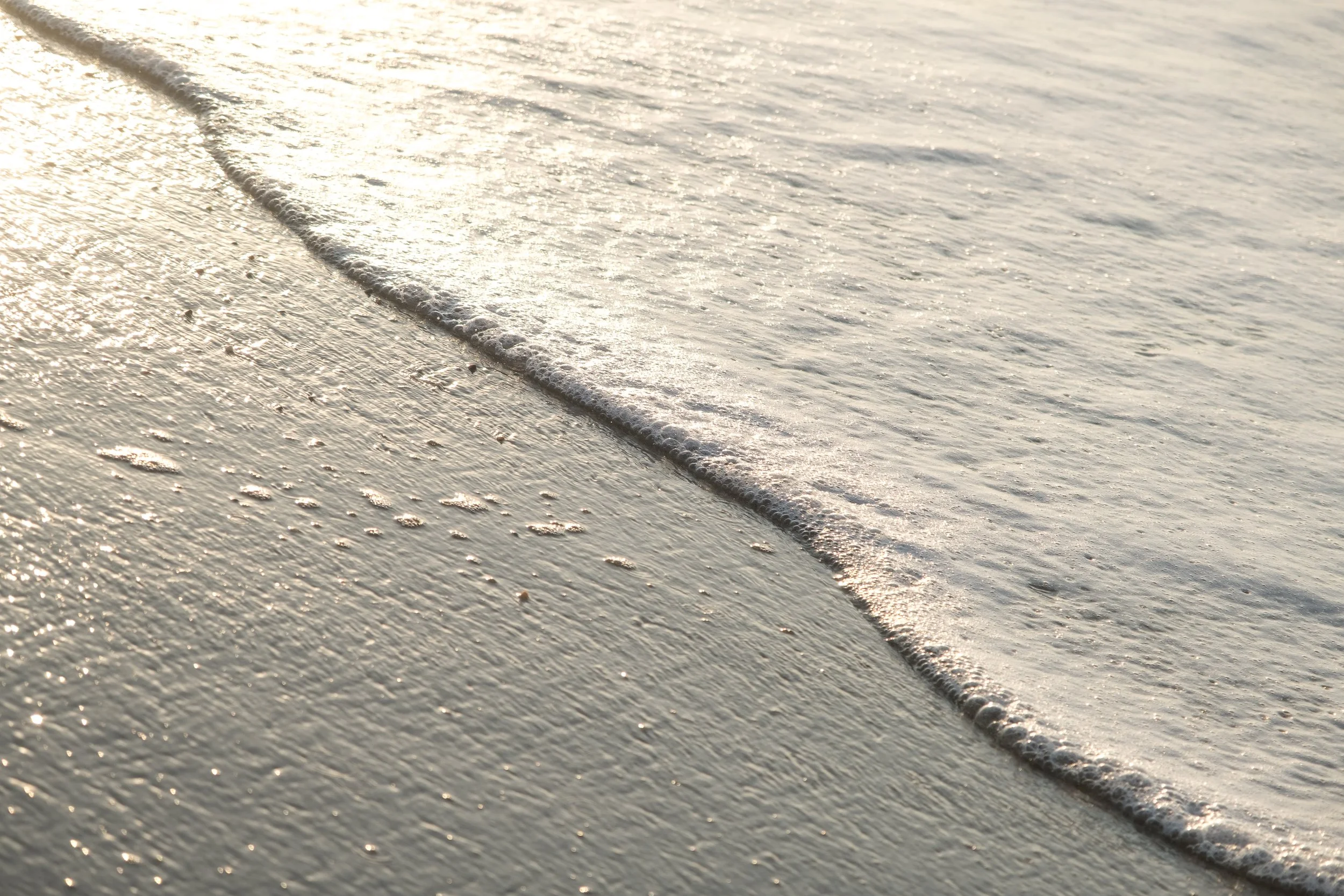 DSCF2748.jpg