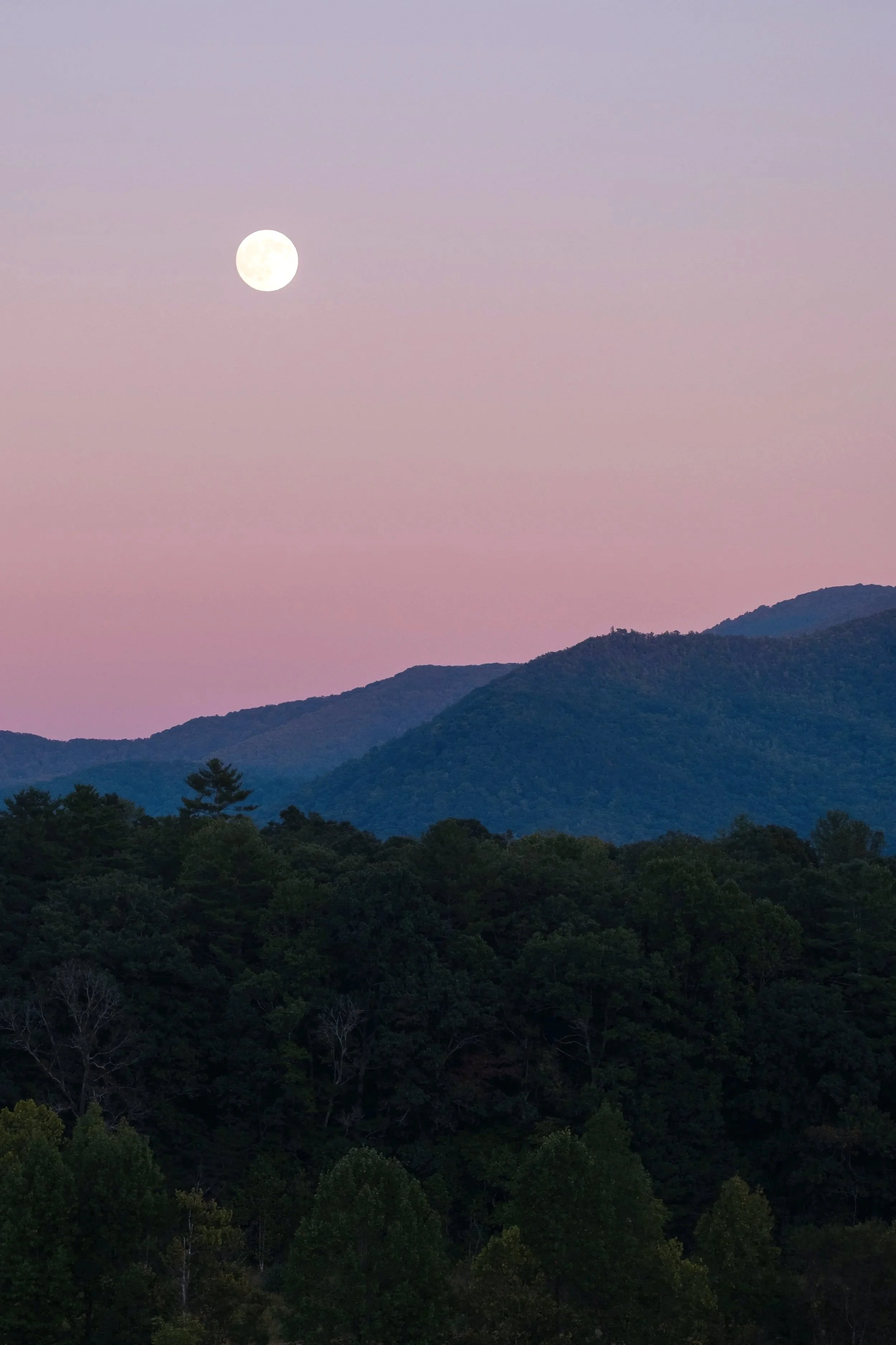 swell-and-sky-field-guide-full-moon-vertical.jpg