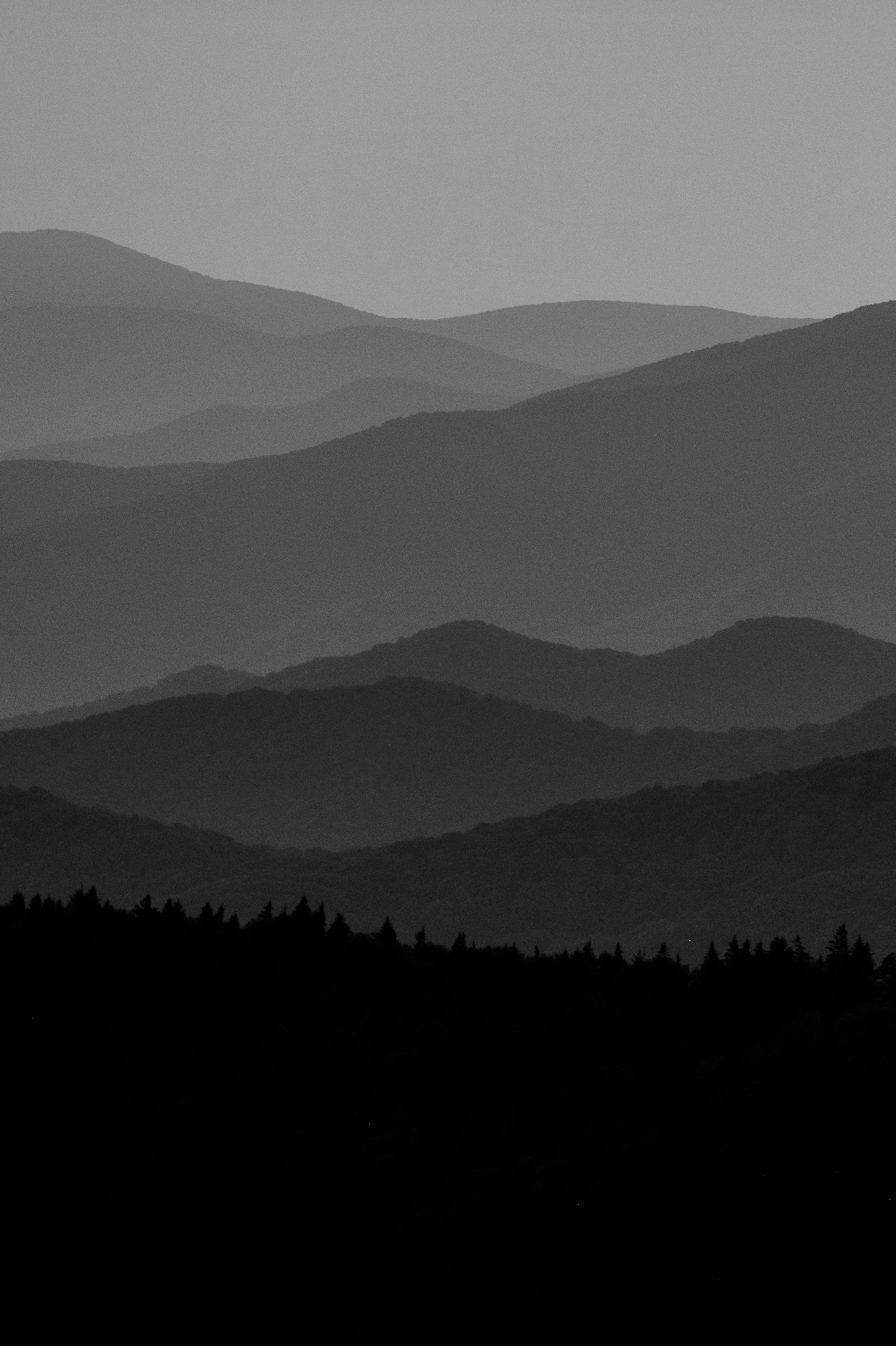 DSCF0105.jpg