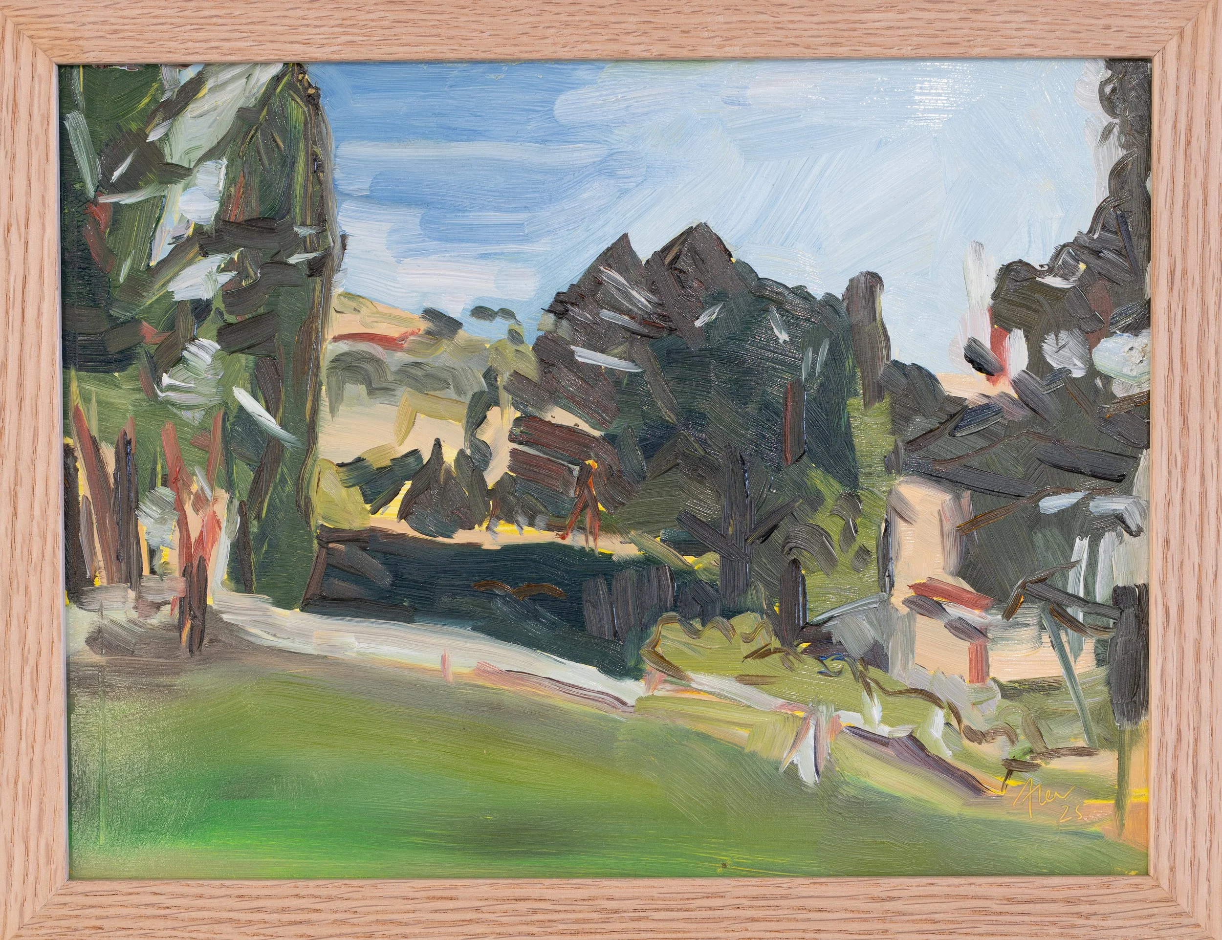 Towards the Hills, Carrick Hill 2025 
Available 
$290+ postage, please fill out contact form for more details 
Oil on panel, framed in oak- approx 26cmx34xcm 