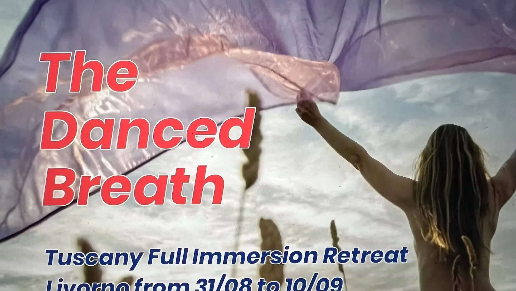 The Danced Breath : Dance, Music & Art Therapy Retreat