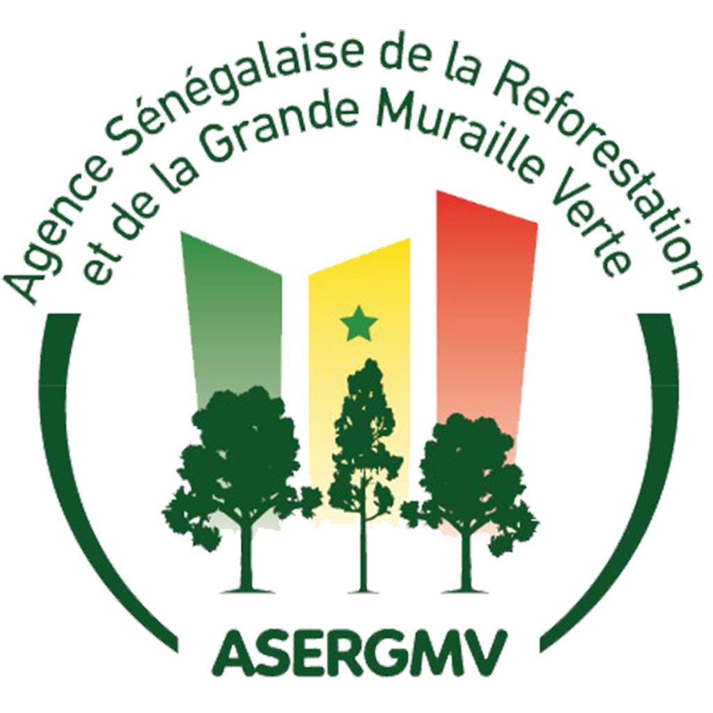 Asergmv.jpg