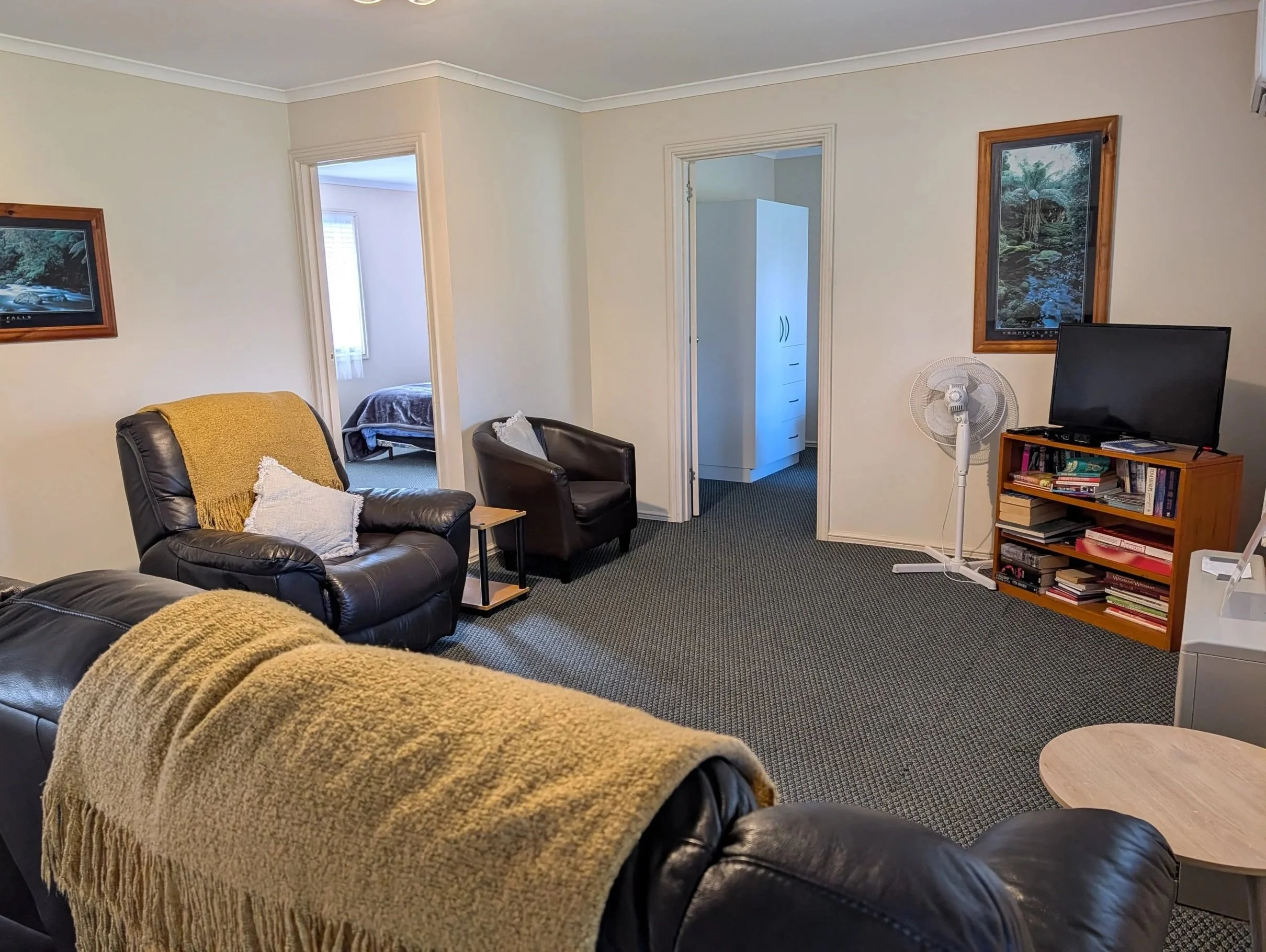 Living room with black leather sofa, yellow blanket, armchair, bookshelf, TV, standing fan, and framed nature photos on the walls.