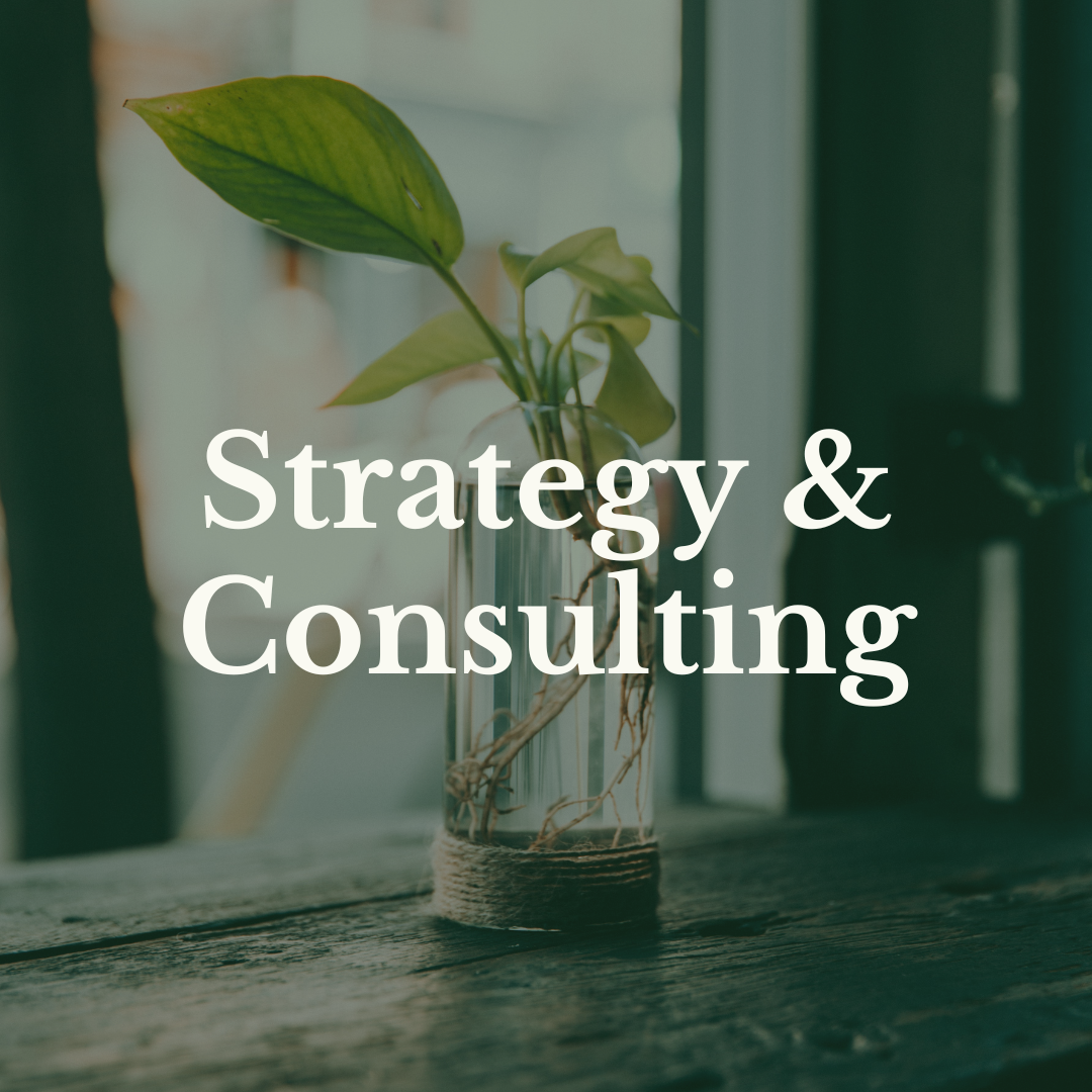 text strategy and consulting in front of a rooting green plant on a windowsill