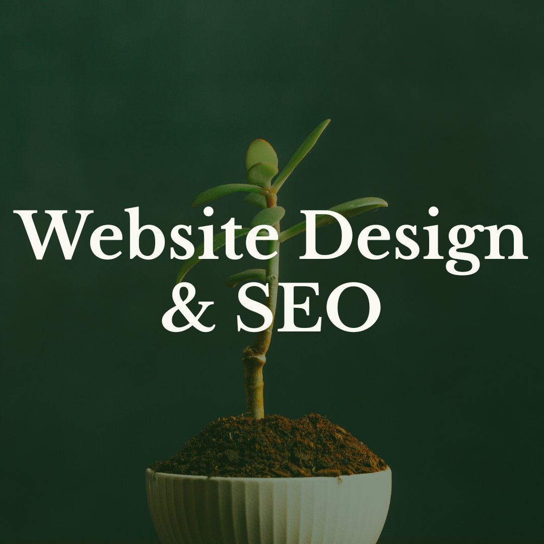 Text "website design & seo" positioned over an image of a green plant growing from a white pot with mulch and a green background