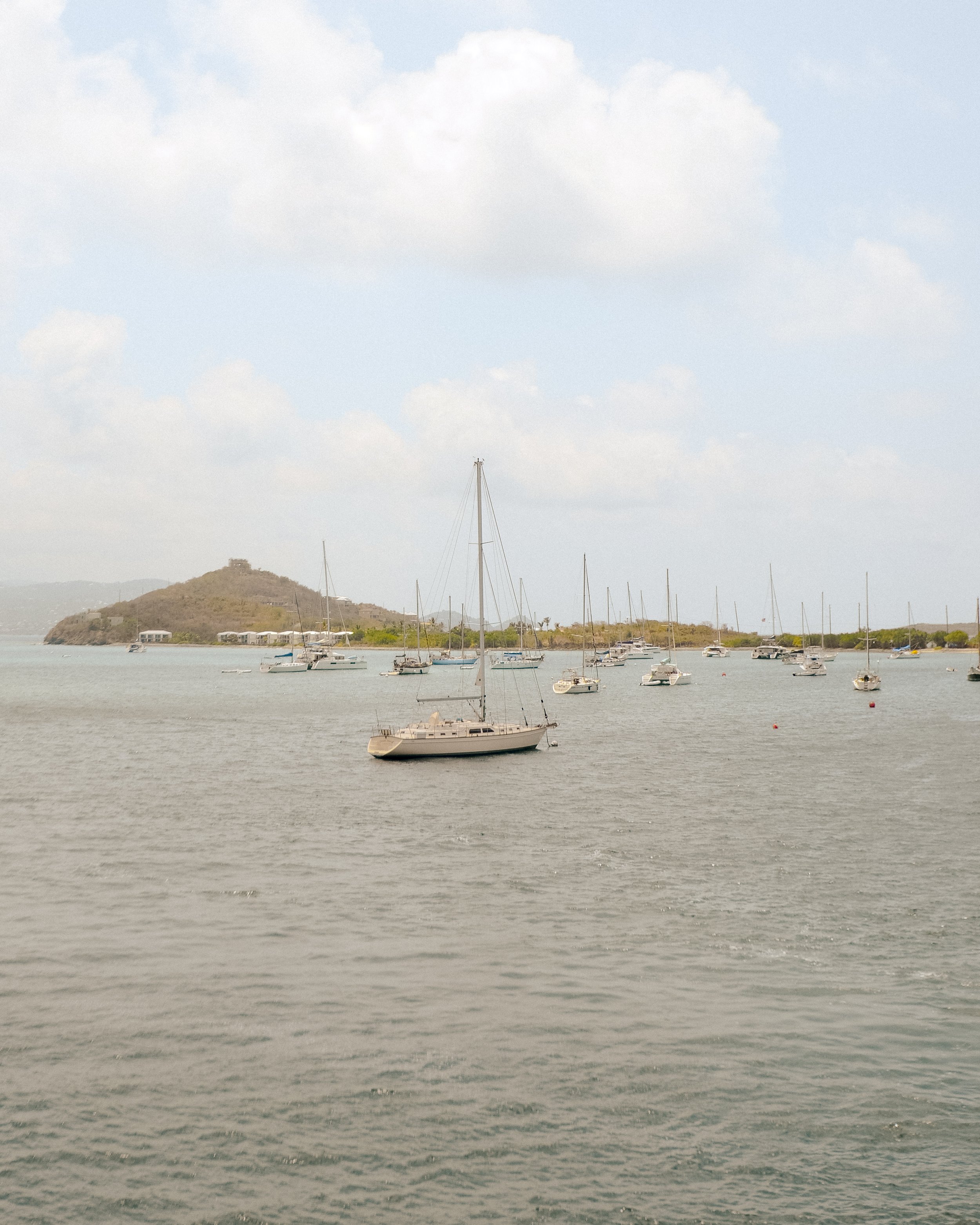 DSC_9981.jpg