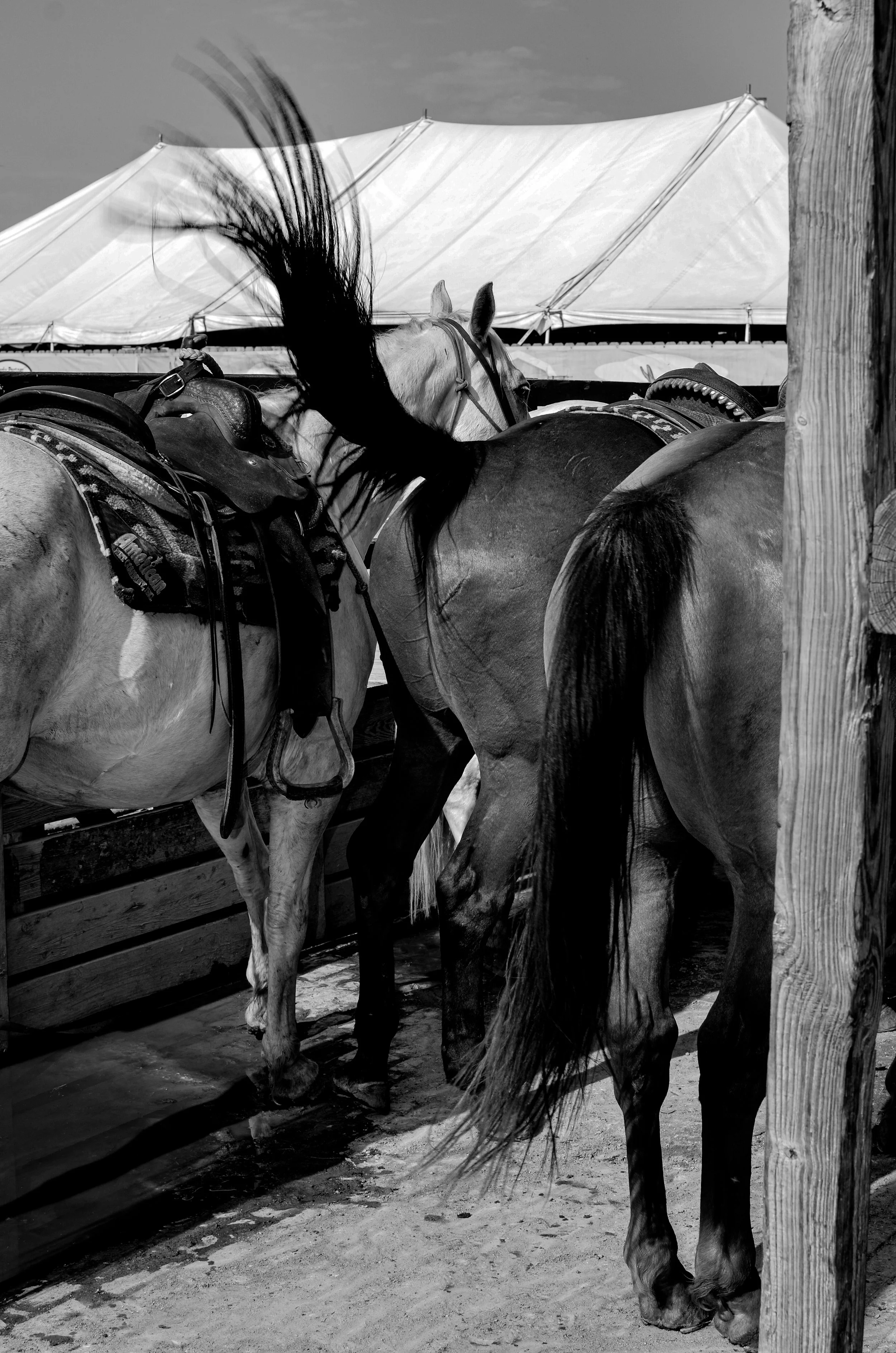 Western