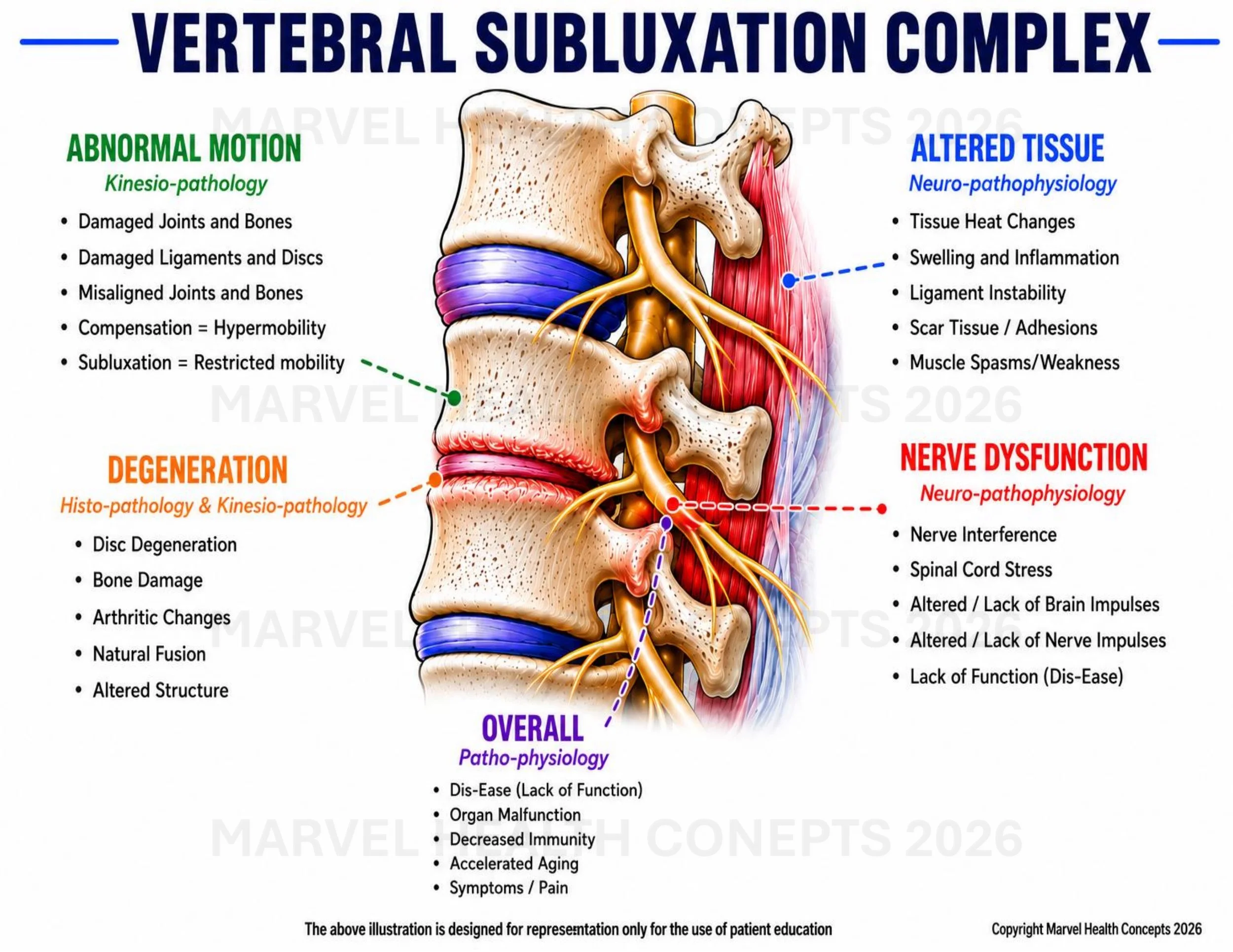 Visual representation of vertebral subluxation complex (VSC) showing five components: abnormal motion, fixation/misalignment, altered neuromuscular input, connective tissue degeneration, and impaired communication and regulation of spinal function.