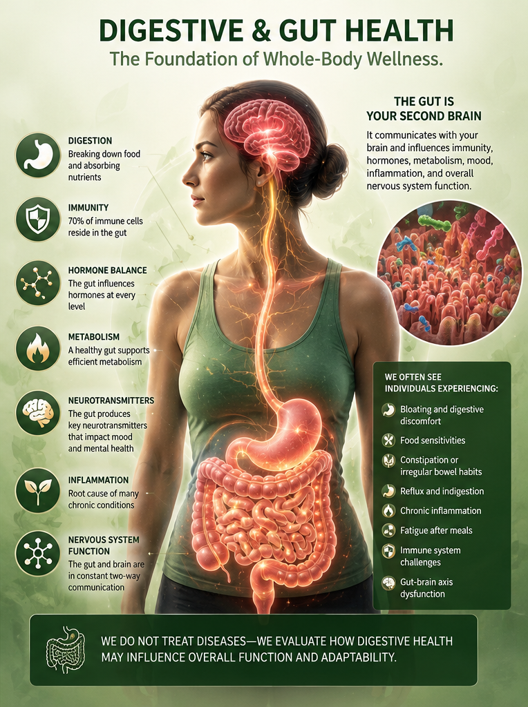 Infographic showing gut health’s role in wellness, linking digestion, immunity, hormones, metabolism, inflammation, brain, and nervous system function.