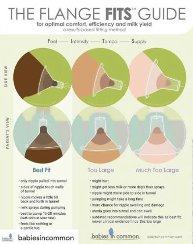 Kayla Roth’s Flange Fit Guide certification from Babies in Common