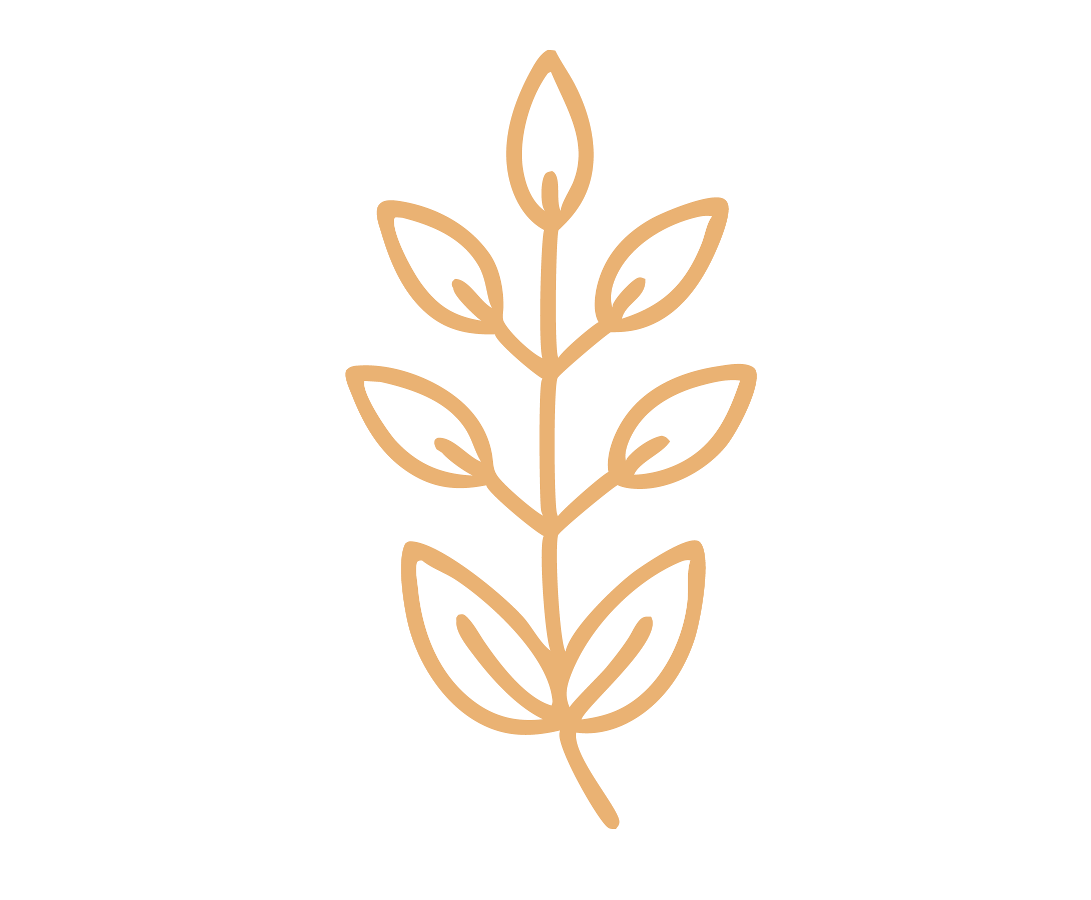 Outline of a plant with multiple leaves against a black background.