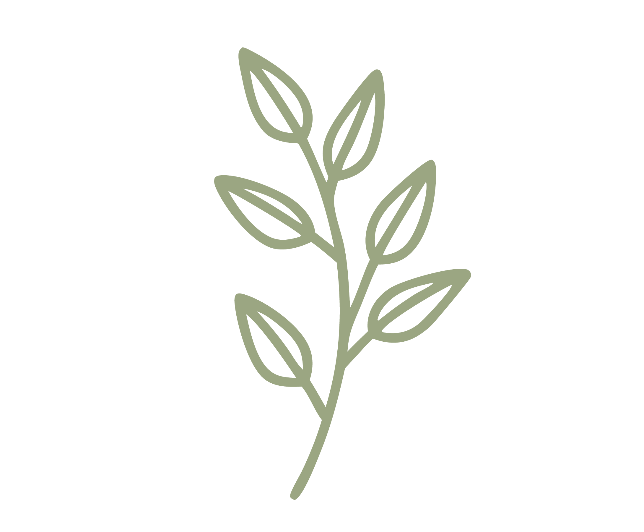 A minimalist illustration of a green leafy plant on a black background.