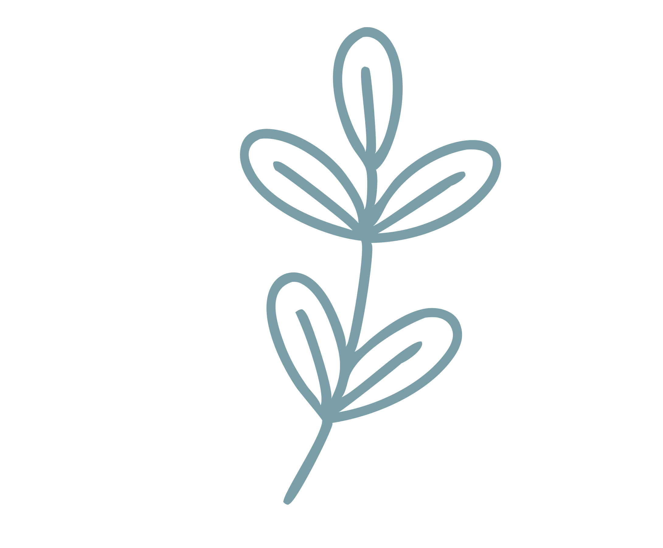 Line drawing of a stylized plant with leaves and buds on a black background.